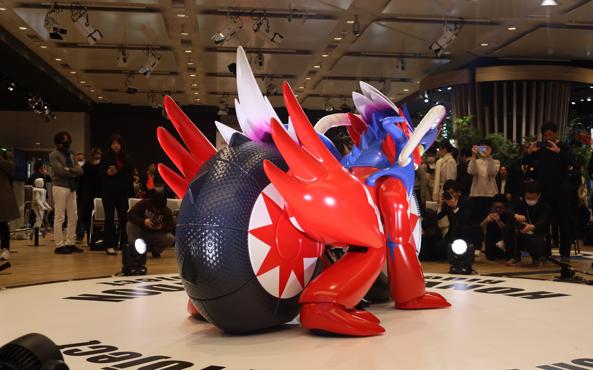 ホンダコライドン