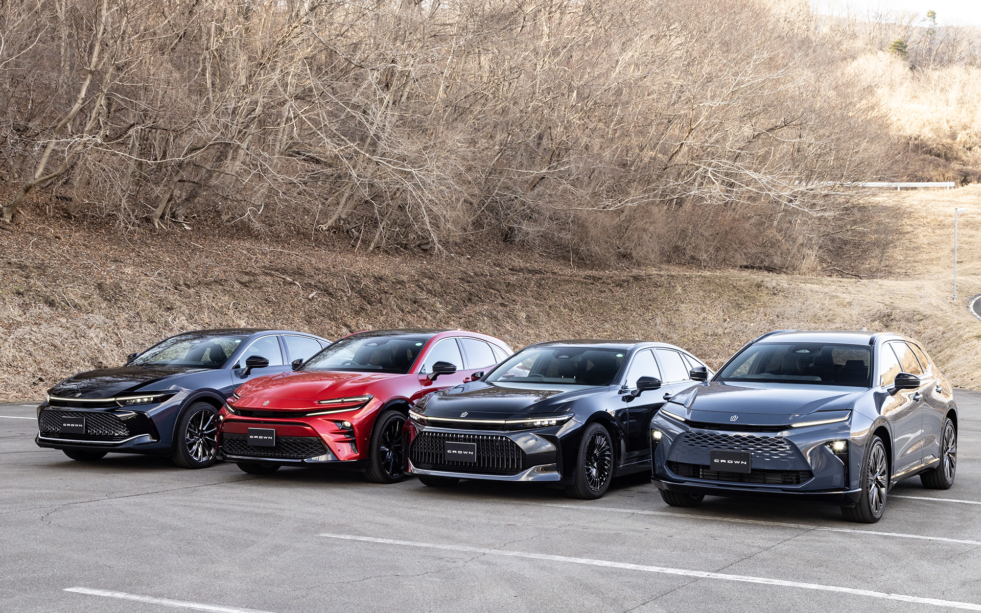 斜め前から見た4モデル。それぞれの個性が際立っている