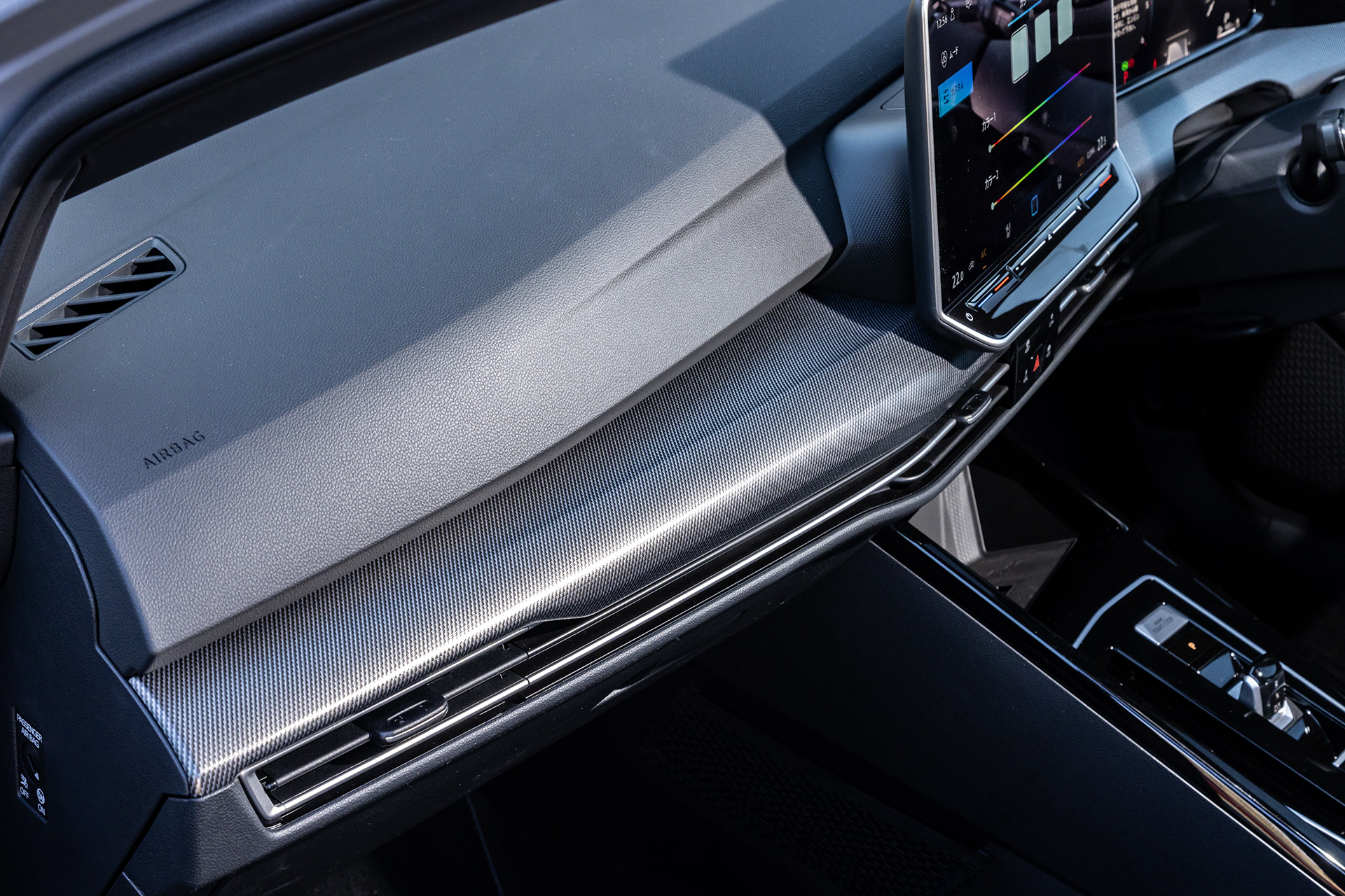 内装パネルはカーボン調デザインでスポーティに仕上げられている