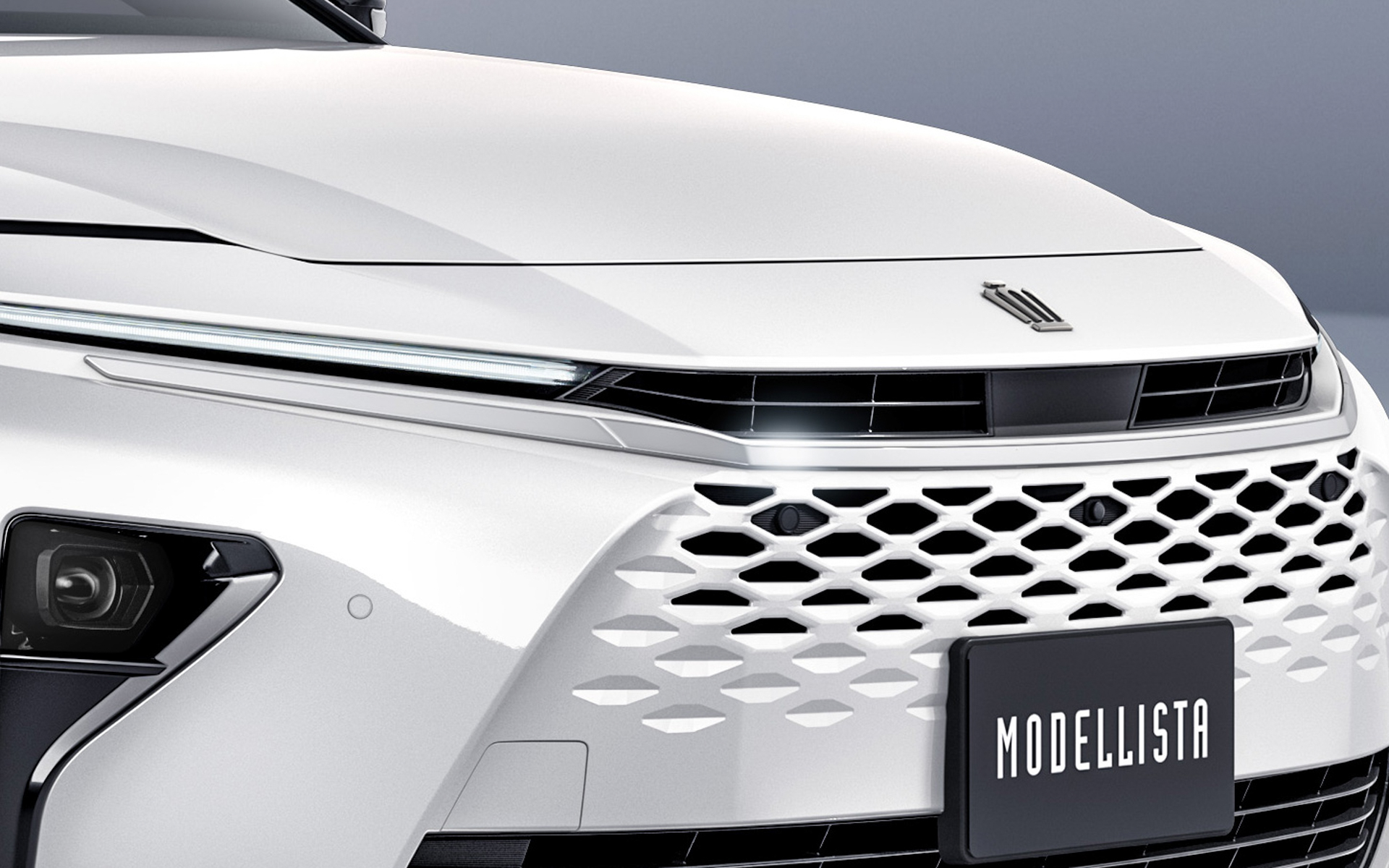 フロントグリルガーニッシュ（3万3000円）