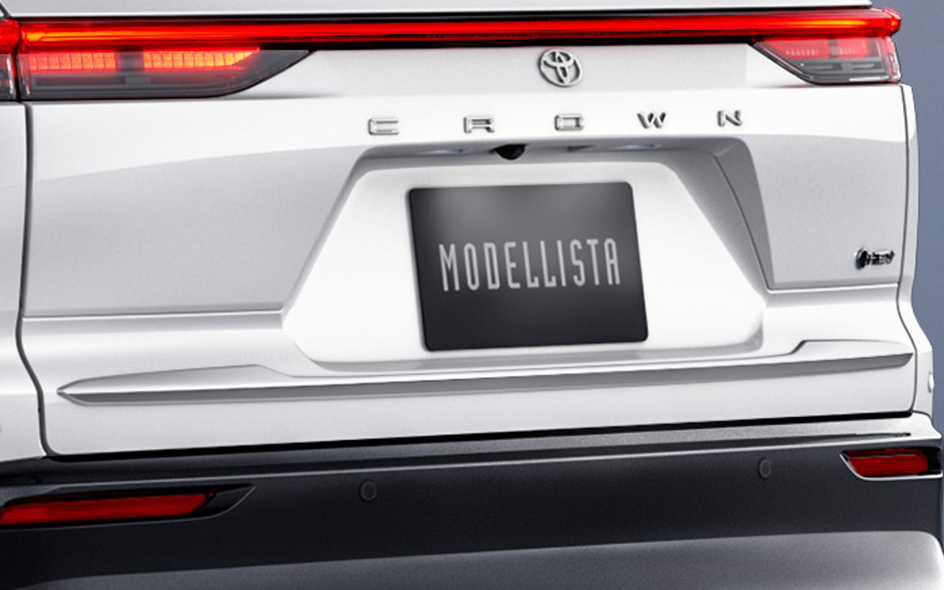 バックドアガーニッシュ（3万800円）