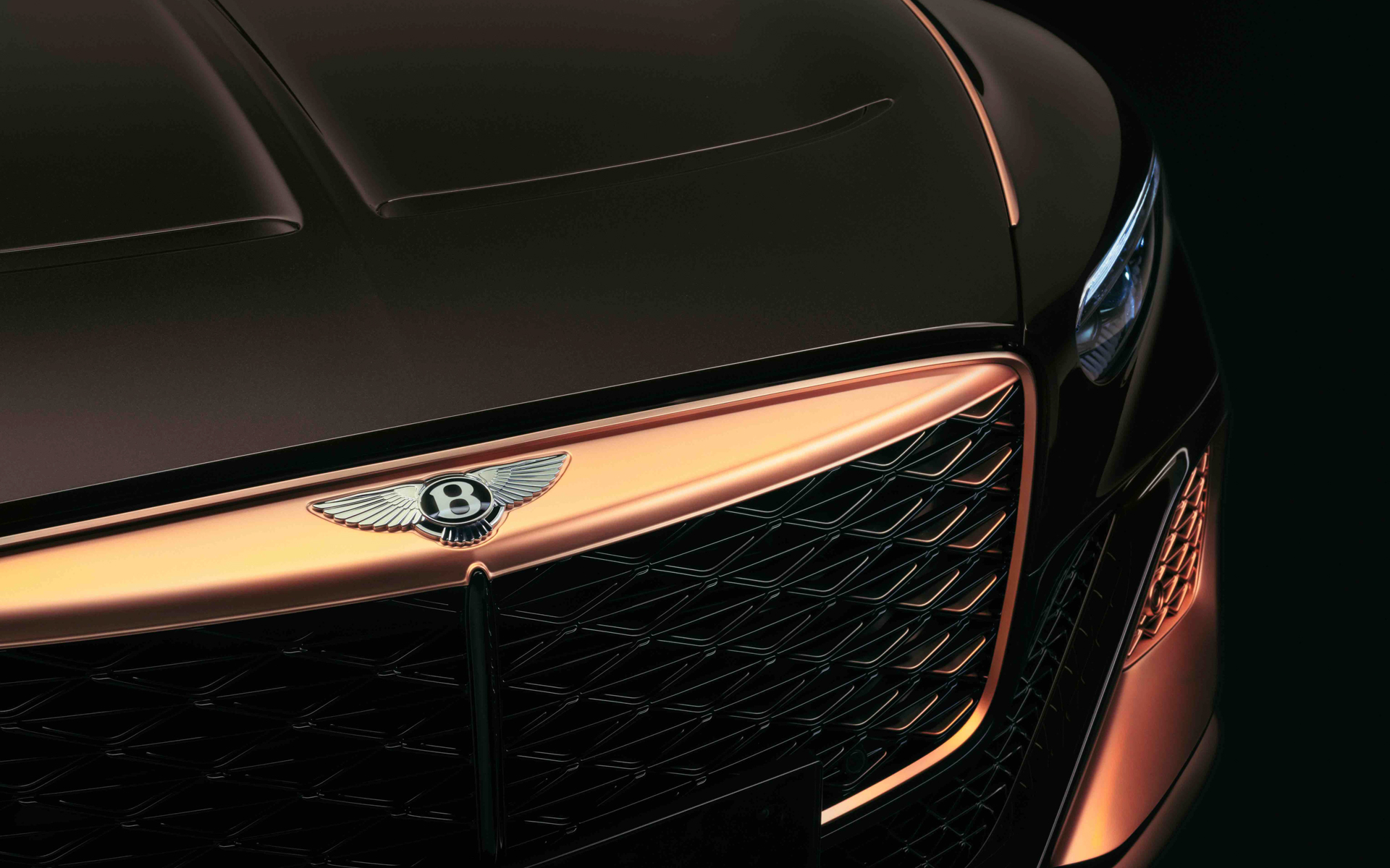 フロントグリルの上部と枠にローズゴールドがあしらわれる