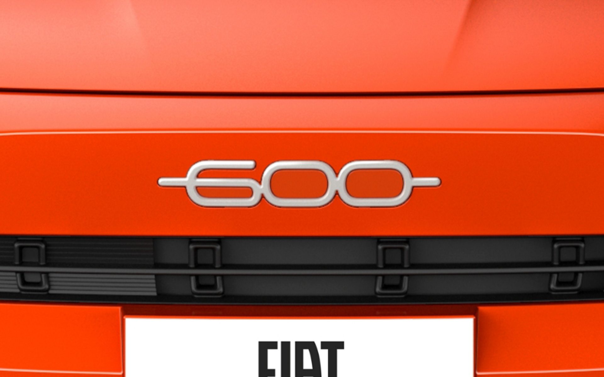 フロントロゴ ホワイト