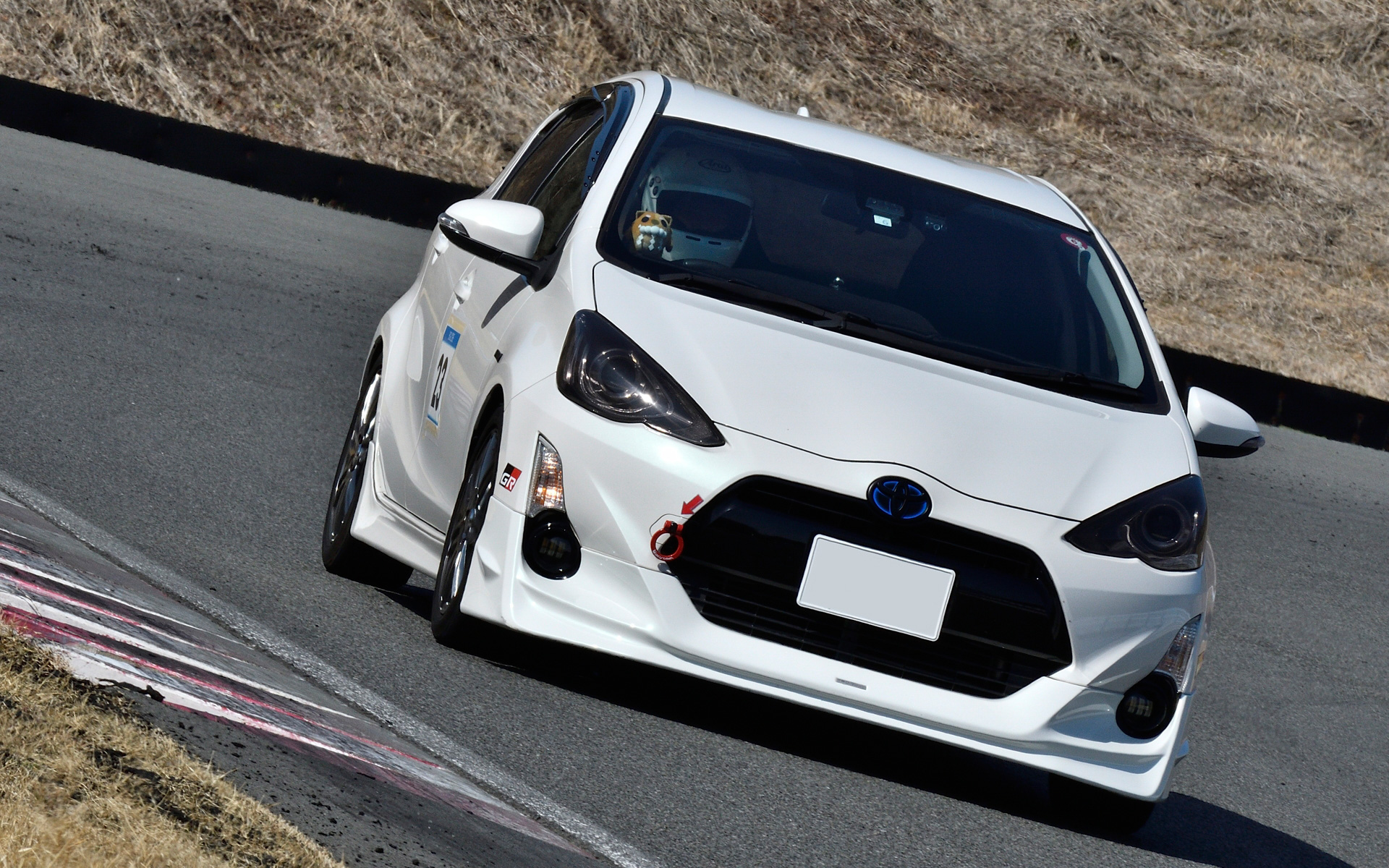 梅本まどか賞 くろぬまさん（アクア）