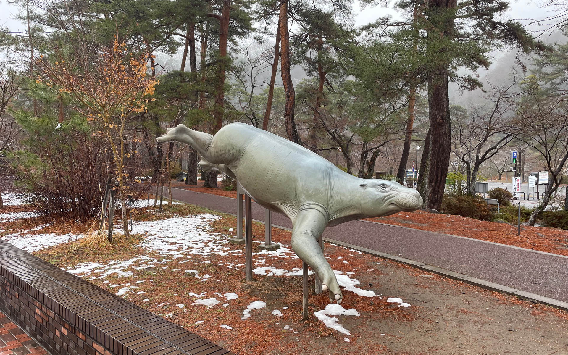 謎の生物、パレオパラドキシア。海辺の海藻などを食べていたらしい
