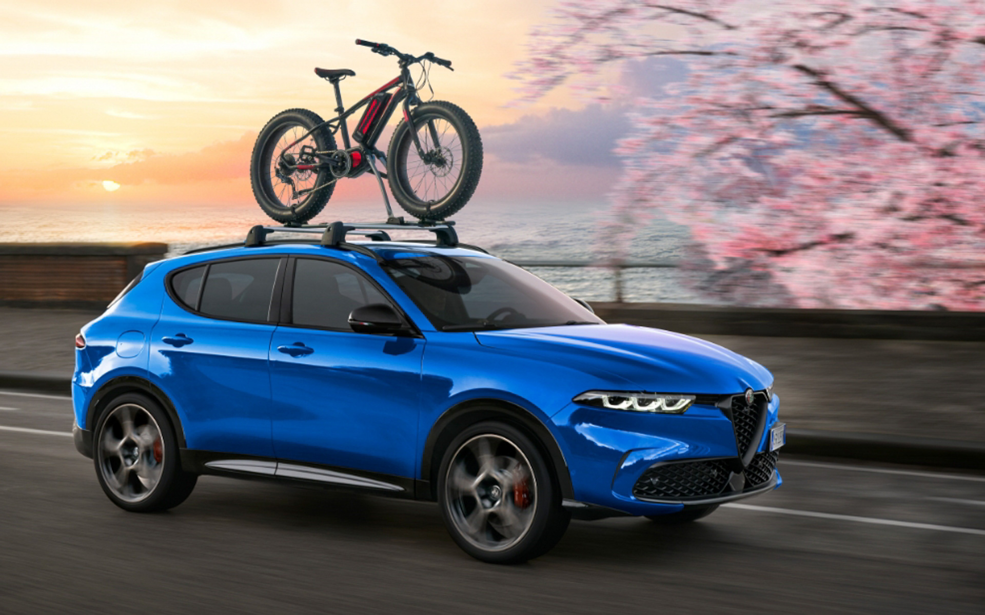 特別仕様車トナーレ アクティブ パッケージ