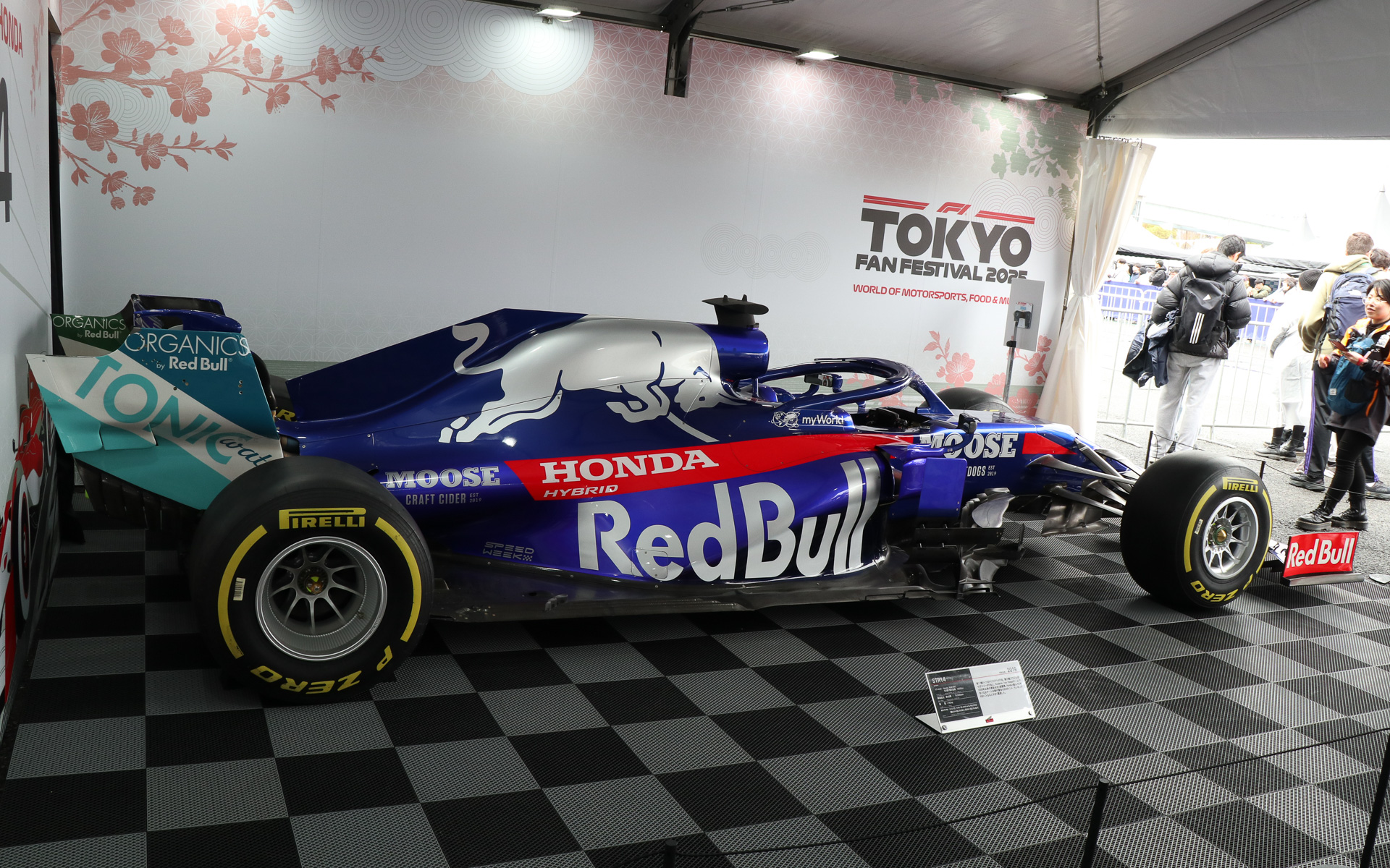 トロロッソ STR14