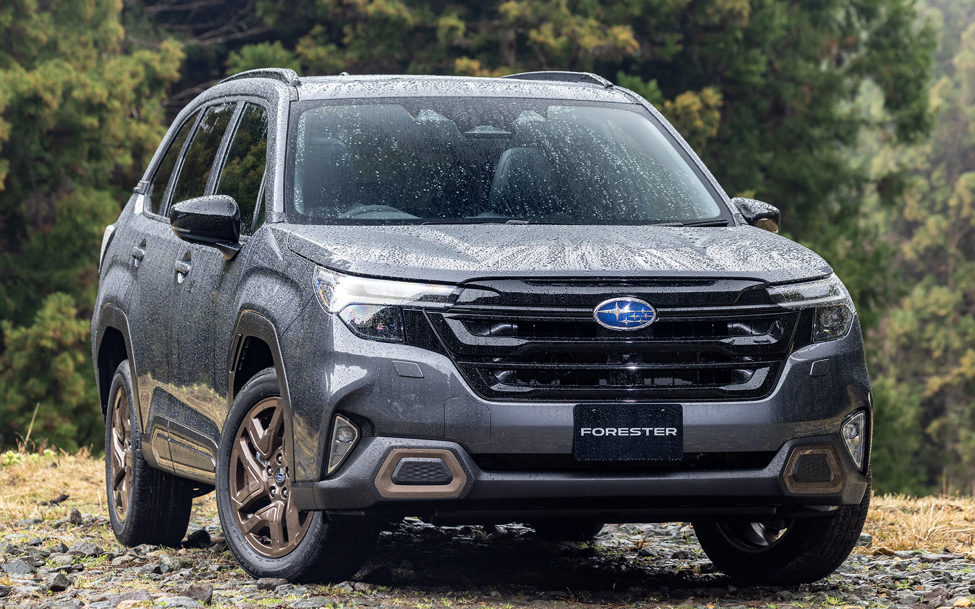 SPORT EX。撮影車両のボディカラーはマグネタイトグレー・メタリック