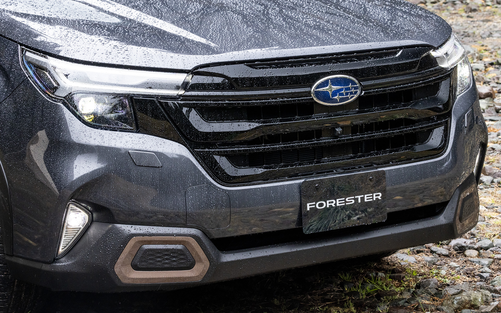 フロントグリルがブラックとなるほかバンパーガーニッシュにカッパーのアクセントが入る