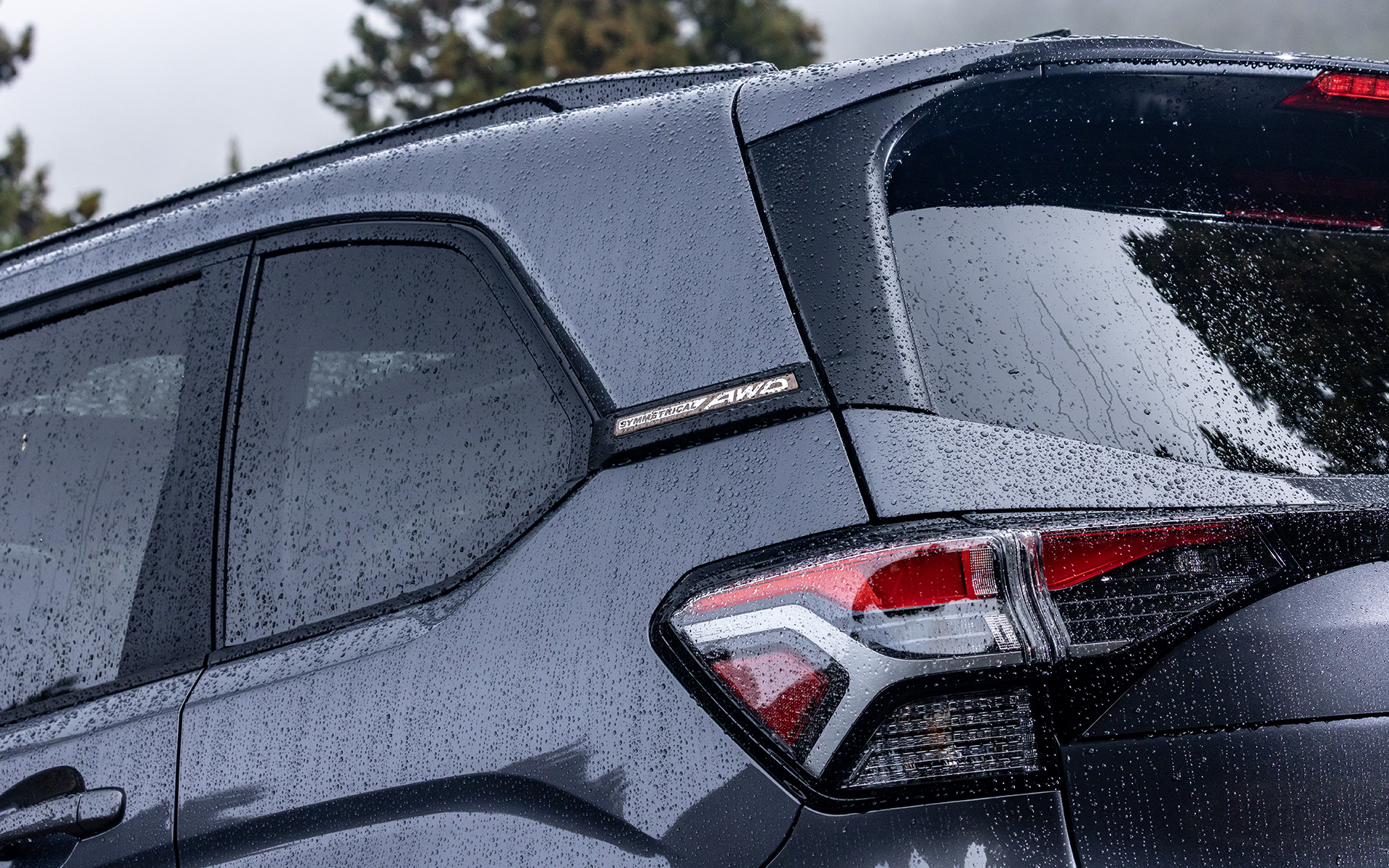 Dピラーのバッヂもカッパー