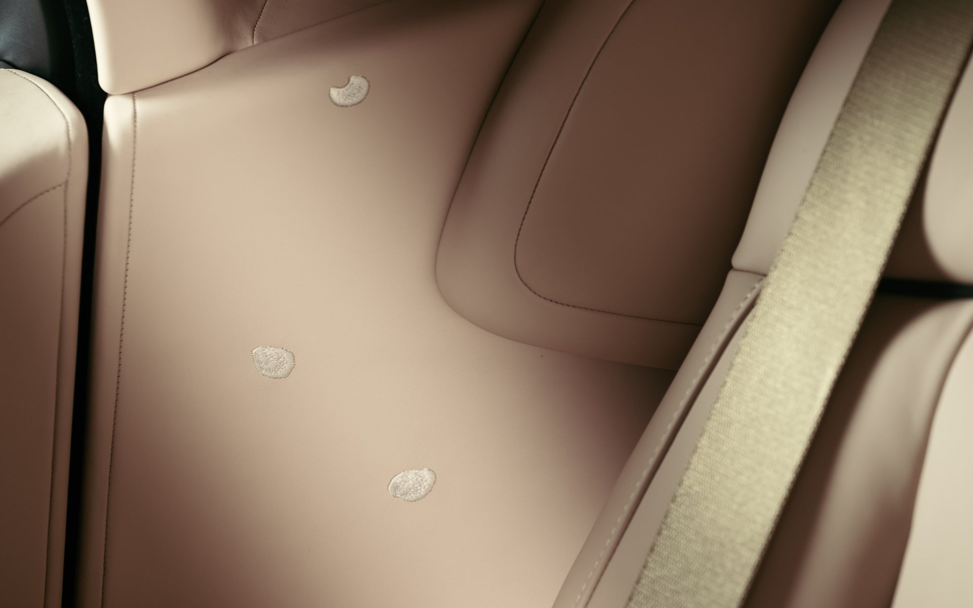 内装のあちこちに花びらの刺繍が施されている