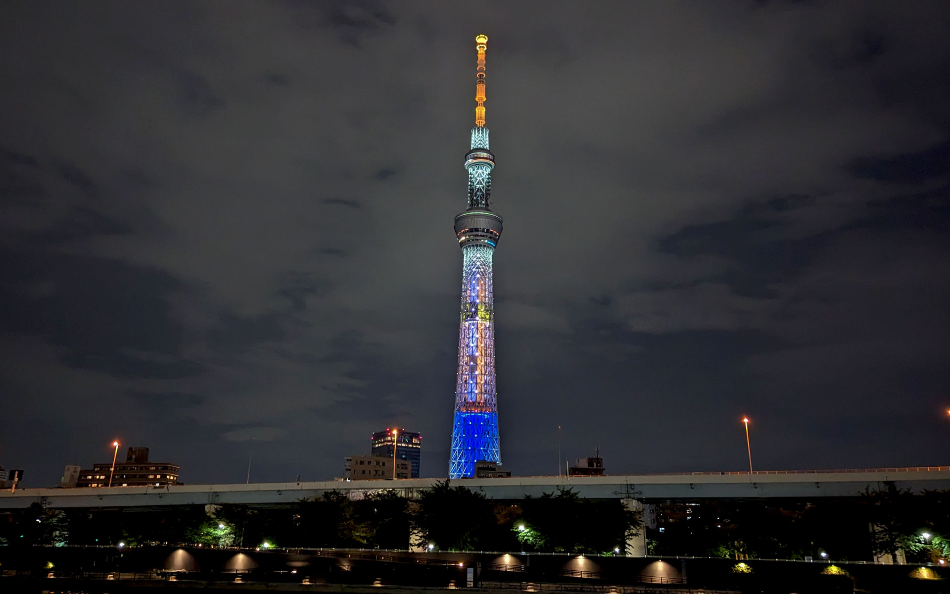 これはPixel 6で撮影したもの。iPhoneにだって負けてないです