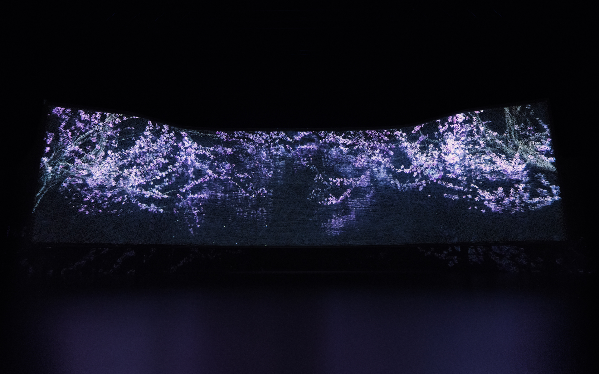 近づいた来場者の心拍に呼応し、ユニークな体験が始まるしかけが施してある