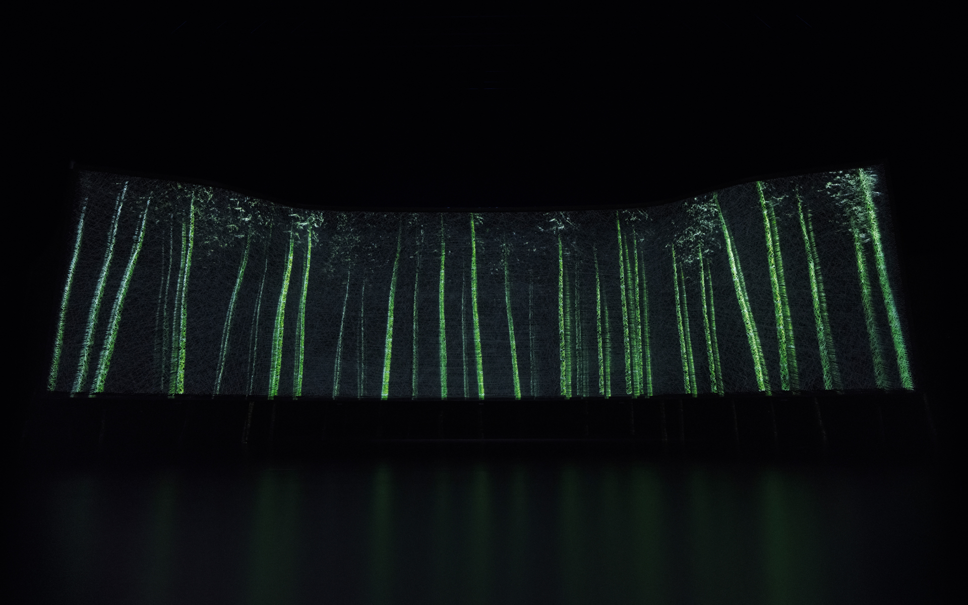 近づいた来場者の心拍に呼応し、ユニークな体験が始まるしかけが施してある