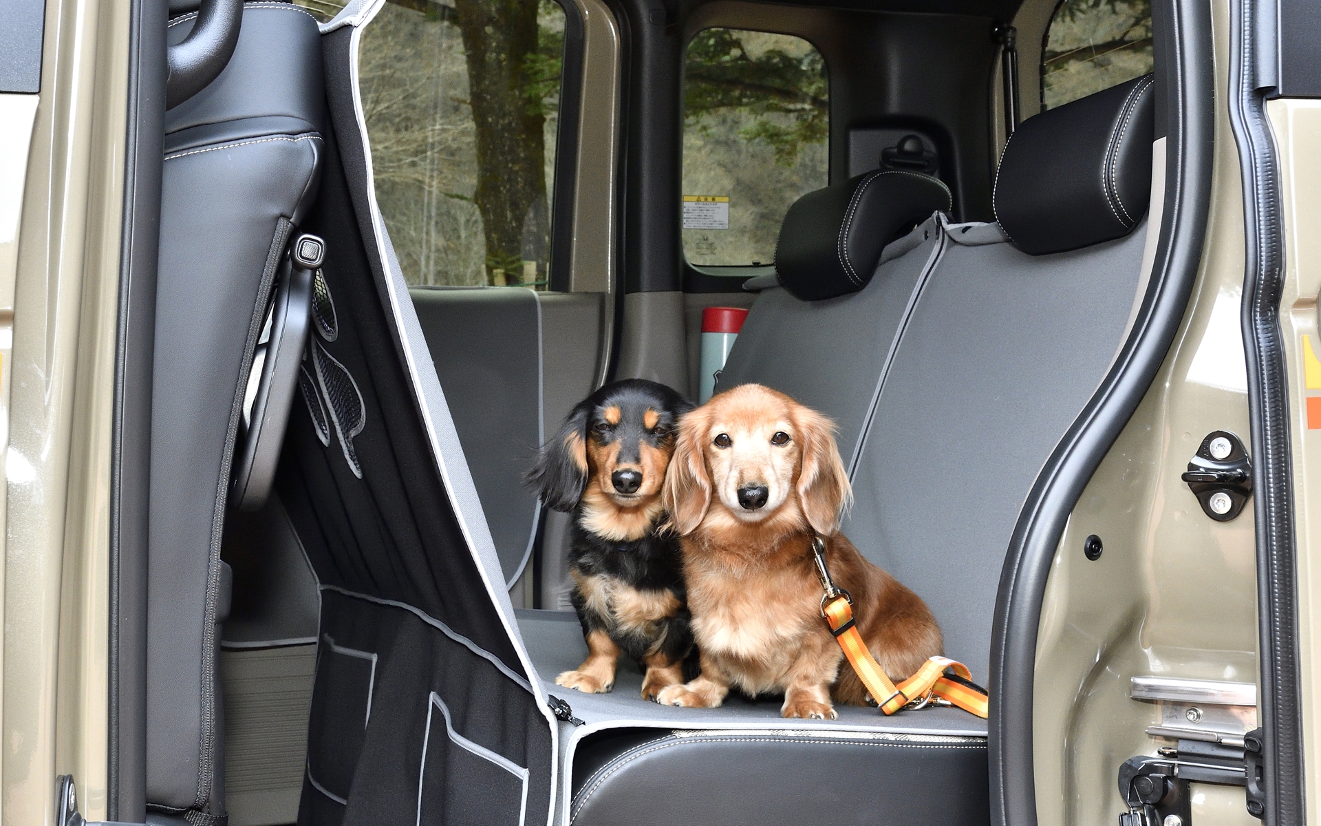 わんこ用ブランド「Honda Dog」のアイテムも実際に見て・触れられる