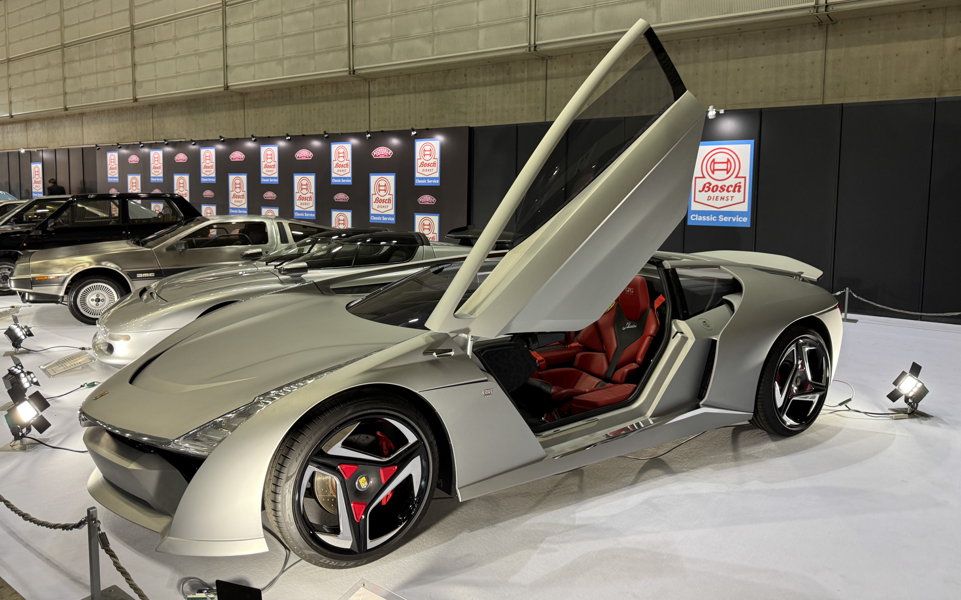 バンディーニ・ドーラ（2020年デビュー）