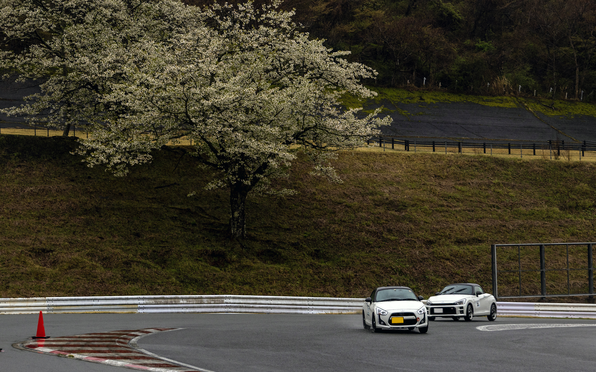 桜咲くD-SPORT＆DAIHATSU Challenge Cup 富士