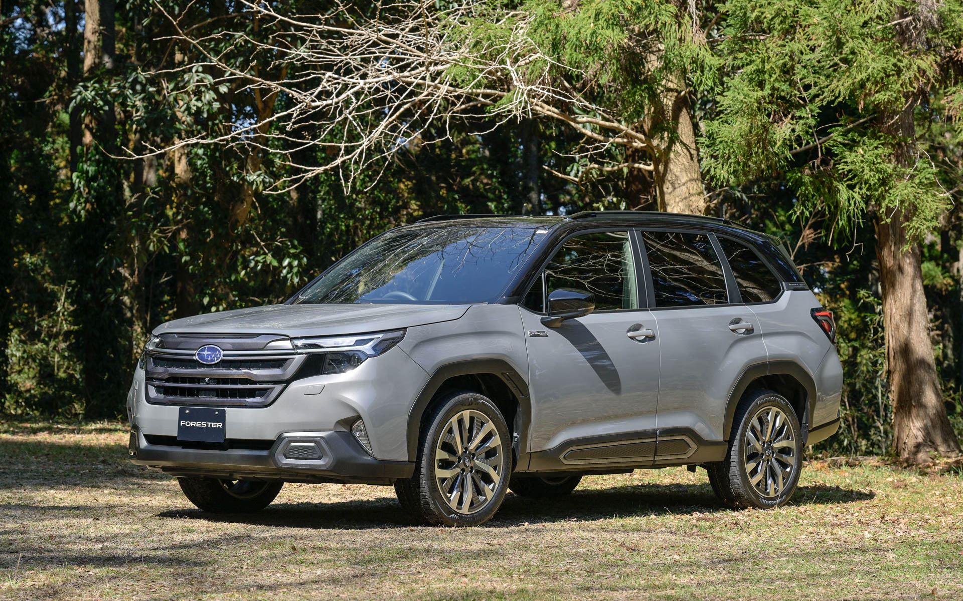 フォレスター Premium S：HEV EX