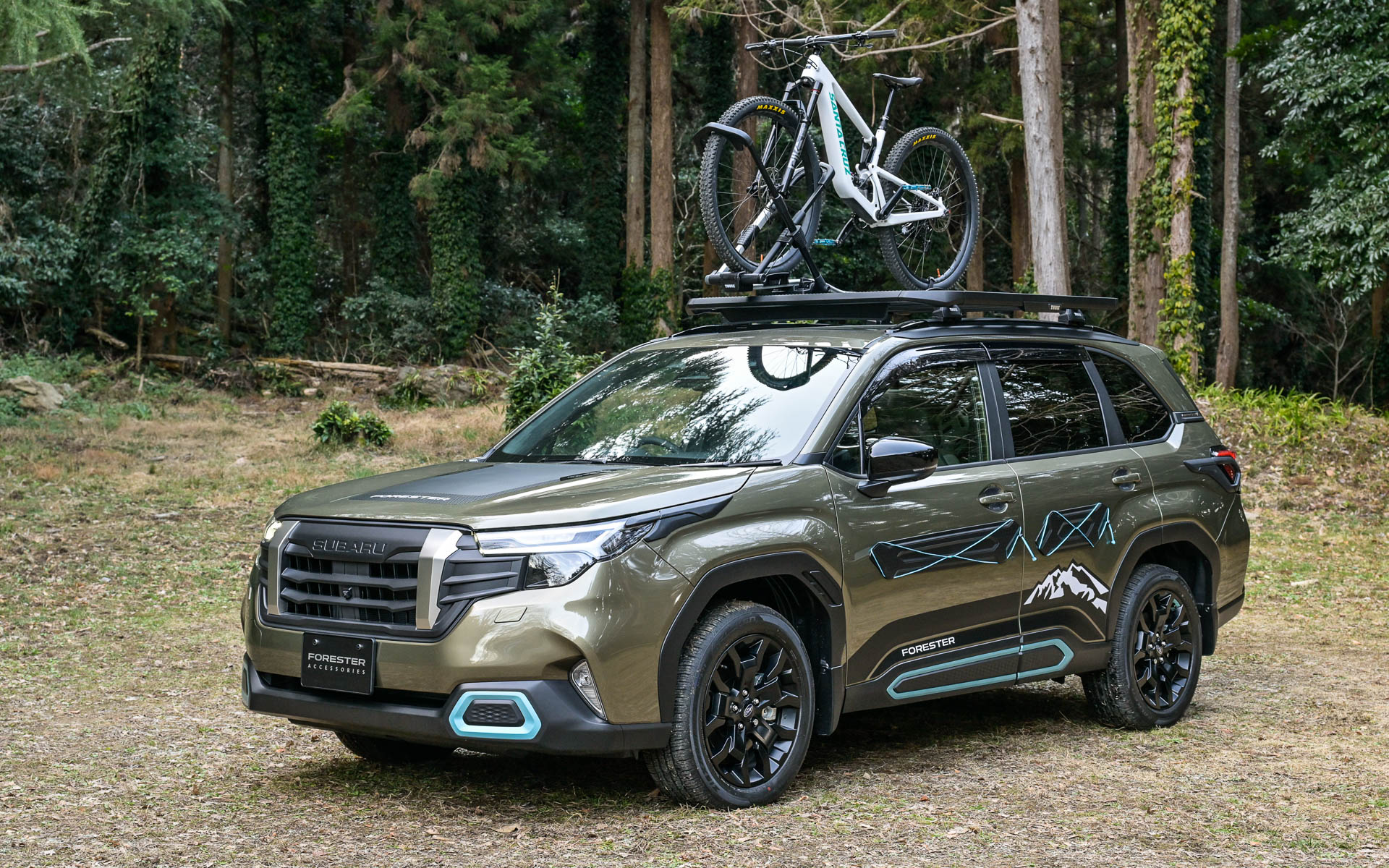 ADVENTURE Styleアクセサリー装着車