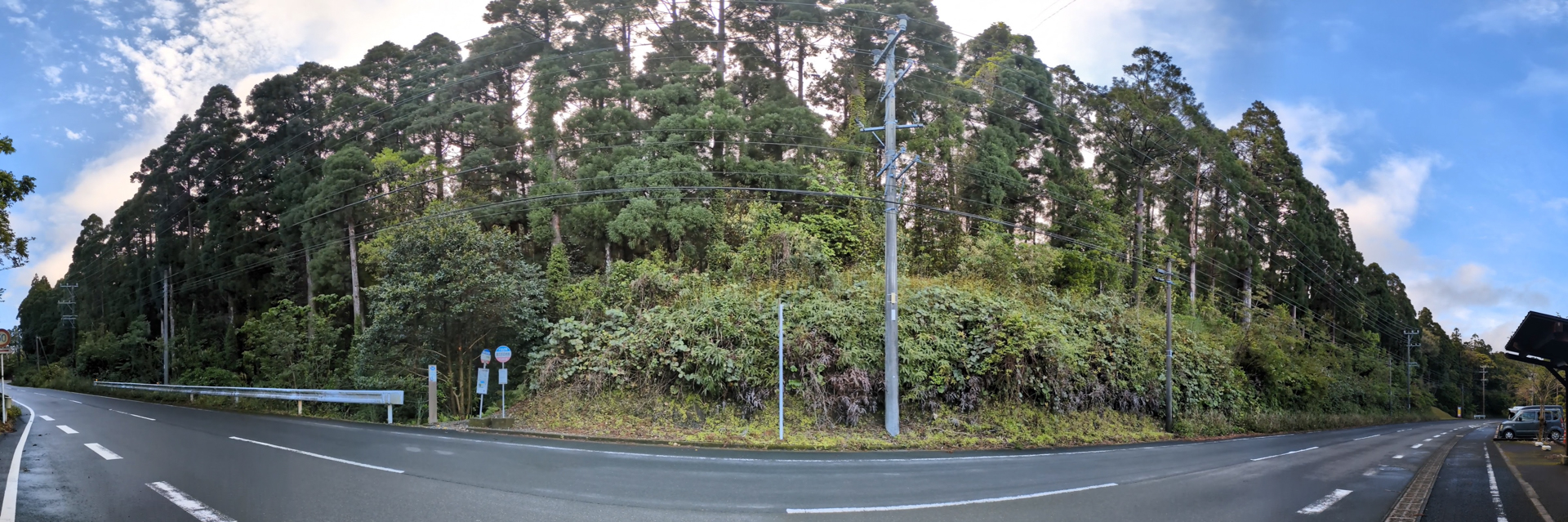 島全体が緑に包まれているので、山奥にまで入らずとも森林が見られる