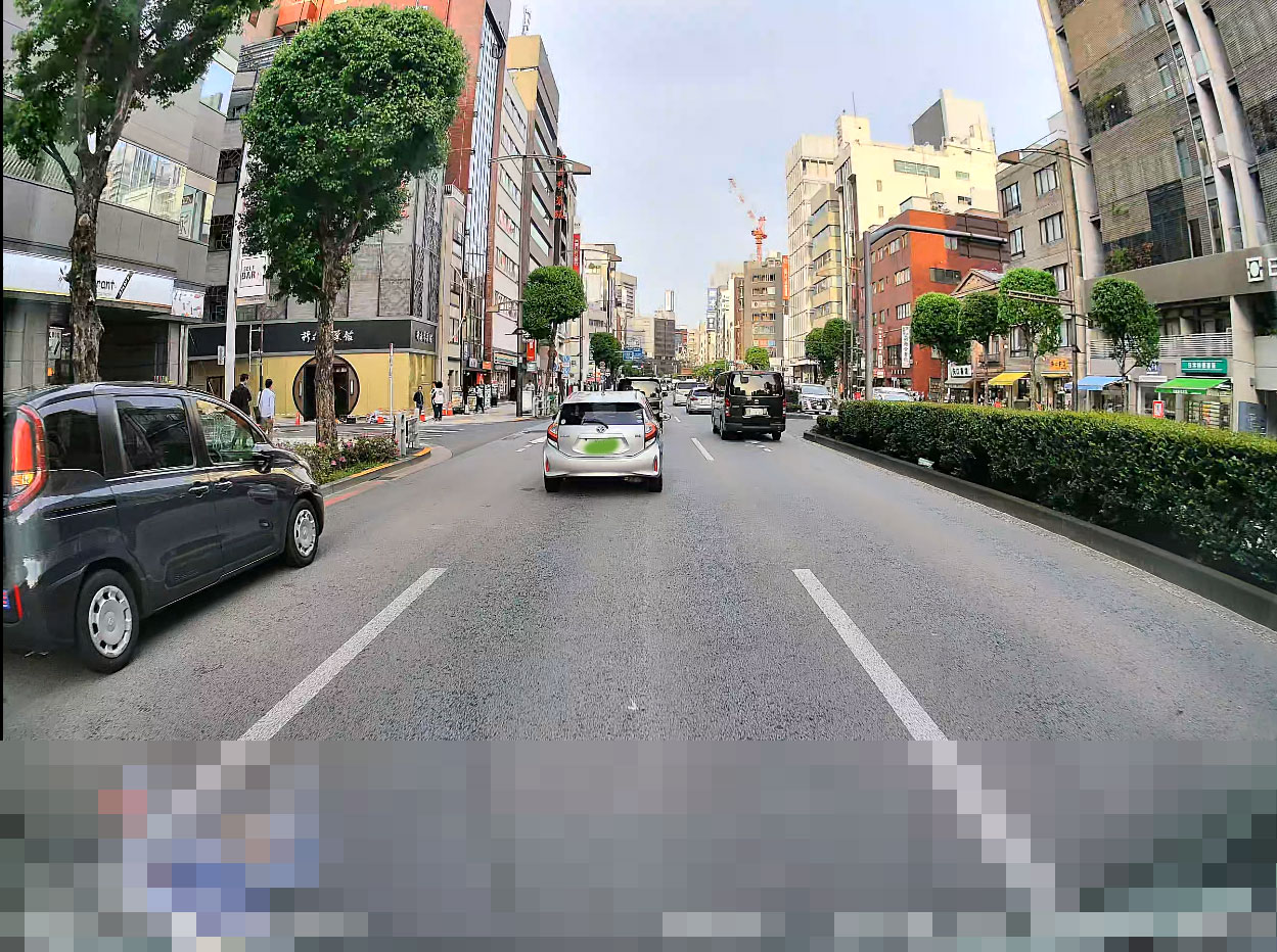 走行中の映像を切り出した。（いろいろなものがはっきり写りすぎているので一部モザイクを入れている）