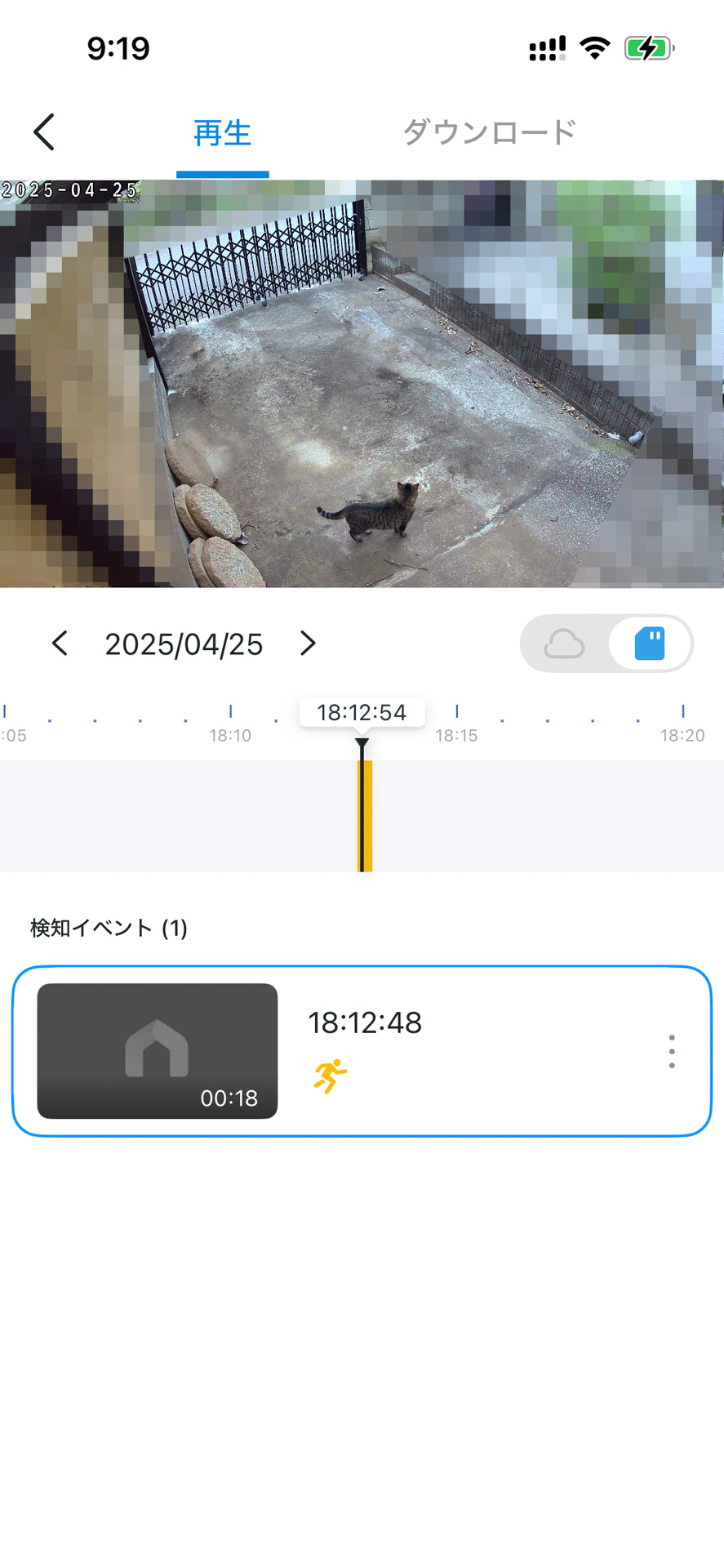 侵入者（？）発見！　小さい侵入者だがしっかり検知され、動画が記録された