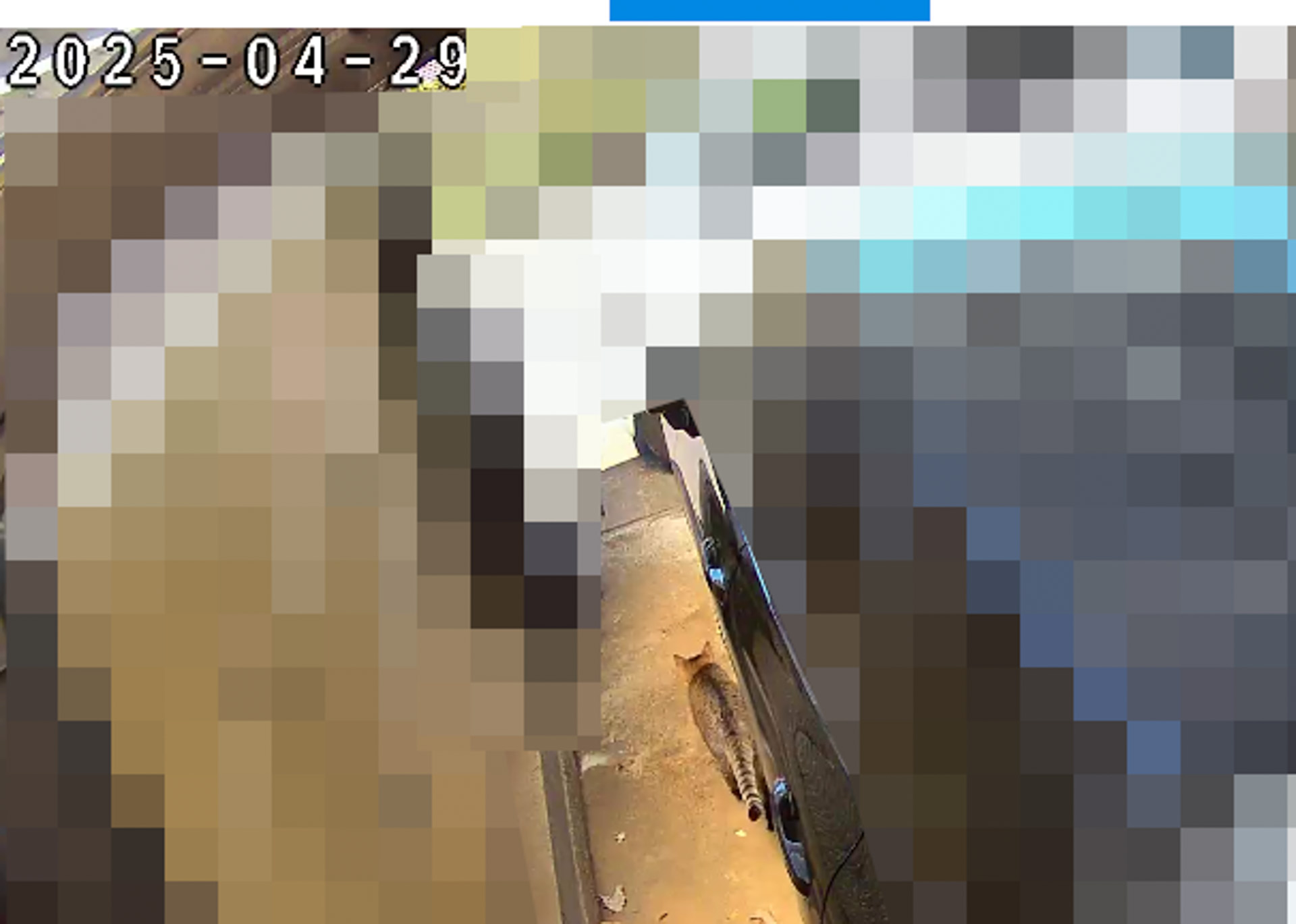 別の時間にも侵入。検知画像のアップを見るとクルマの横にいるが検知して記録された