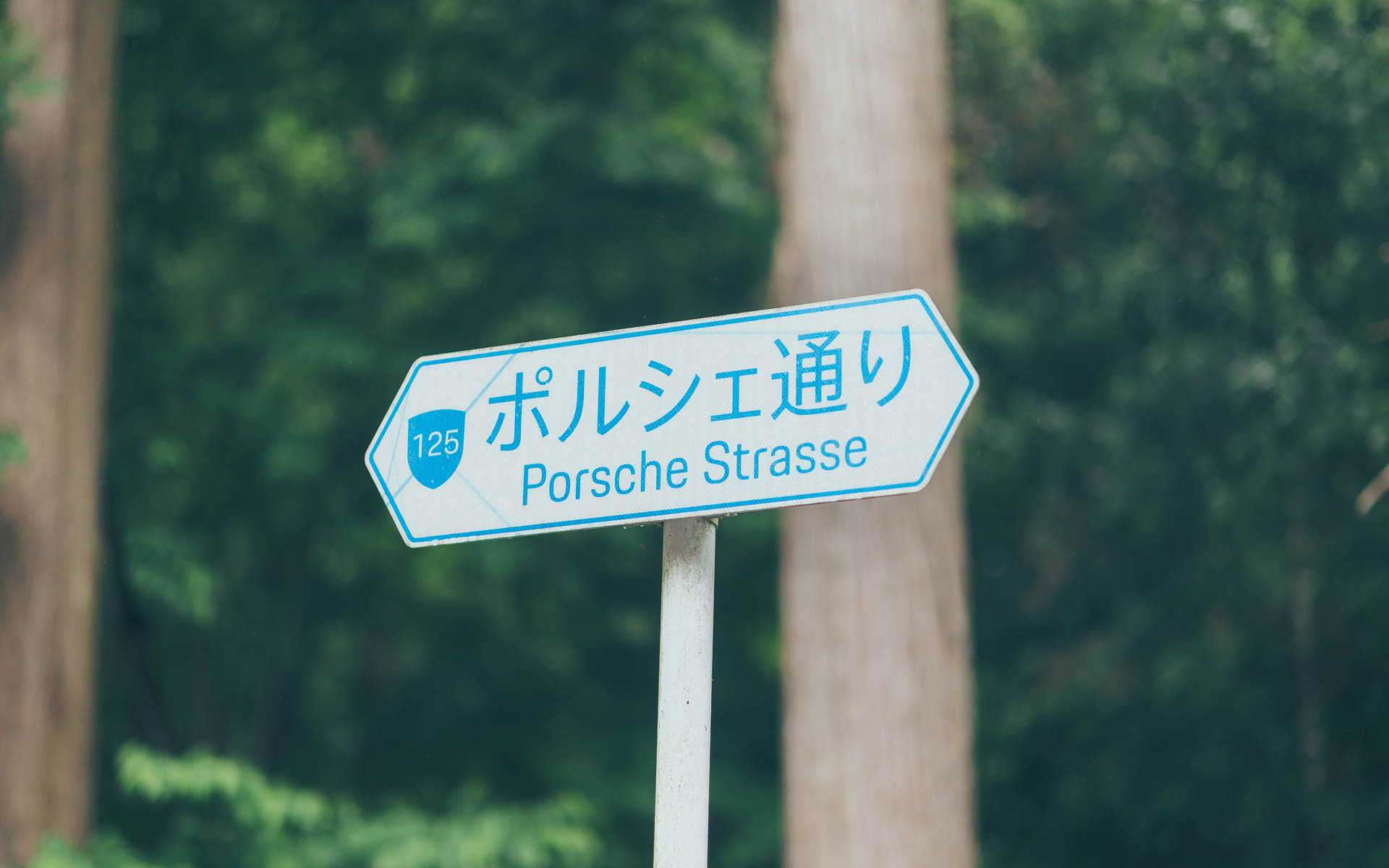 木更津市道に設置されている125号のポルシェ通り標識