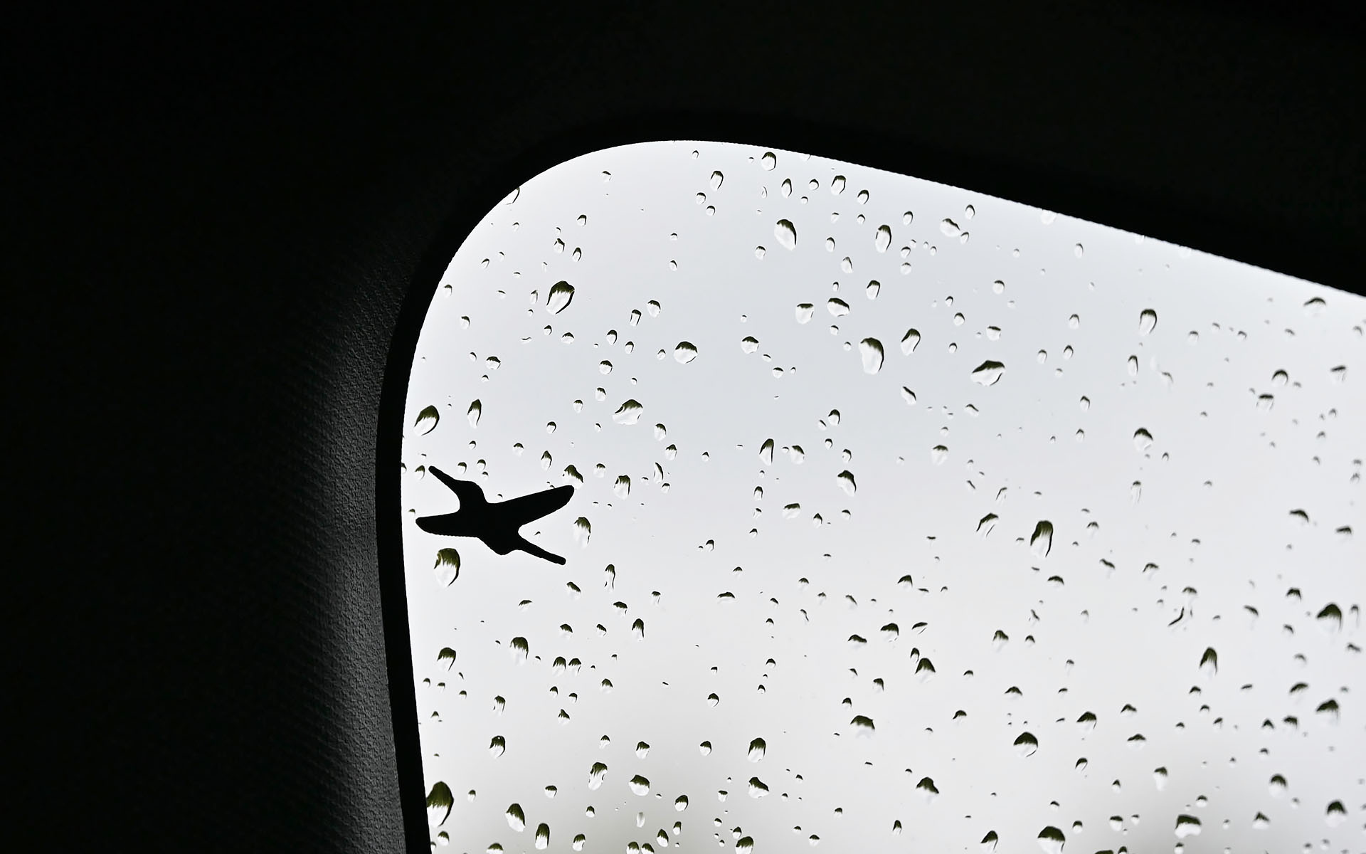 車内の至る所にイースターエッグが隠されている