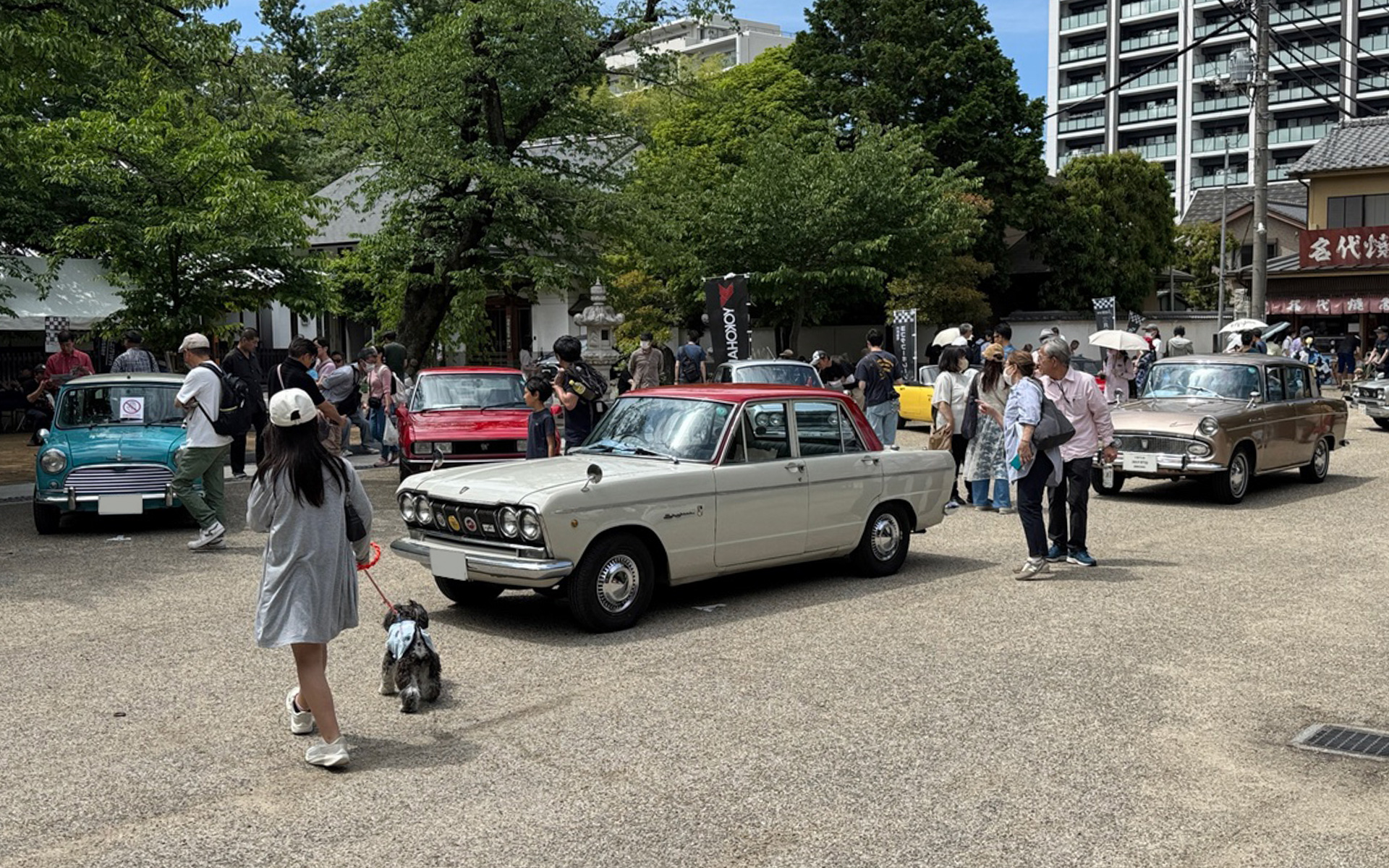 蓮馨寺エリアでは、アバルトやメッサーシュミットなど一風変わった名車が展示してあって、若い人たちも「かわい〜」と歓声をあげていました。古いスカイラインもきれいな状態で保存されていてびっくりです