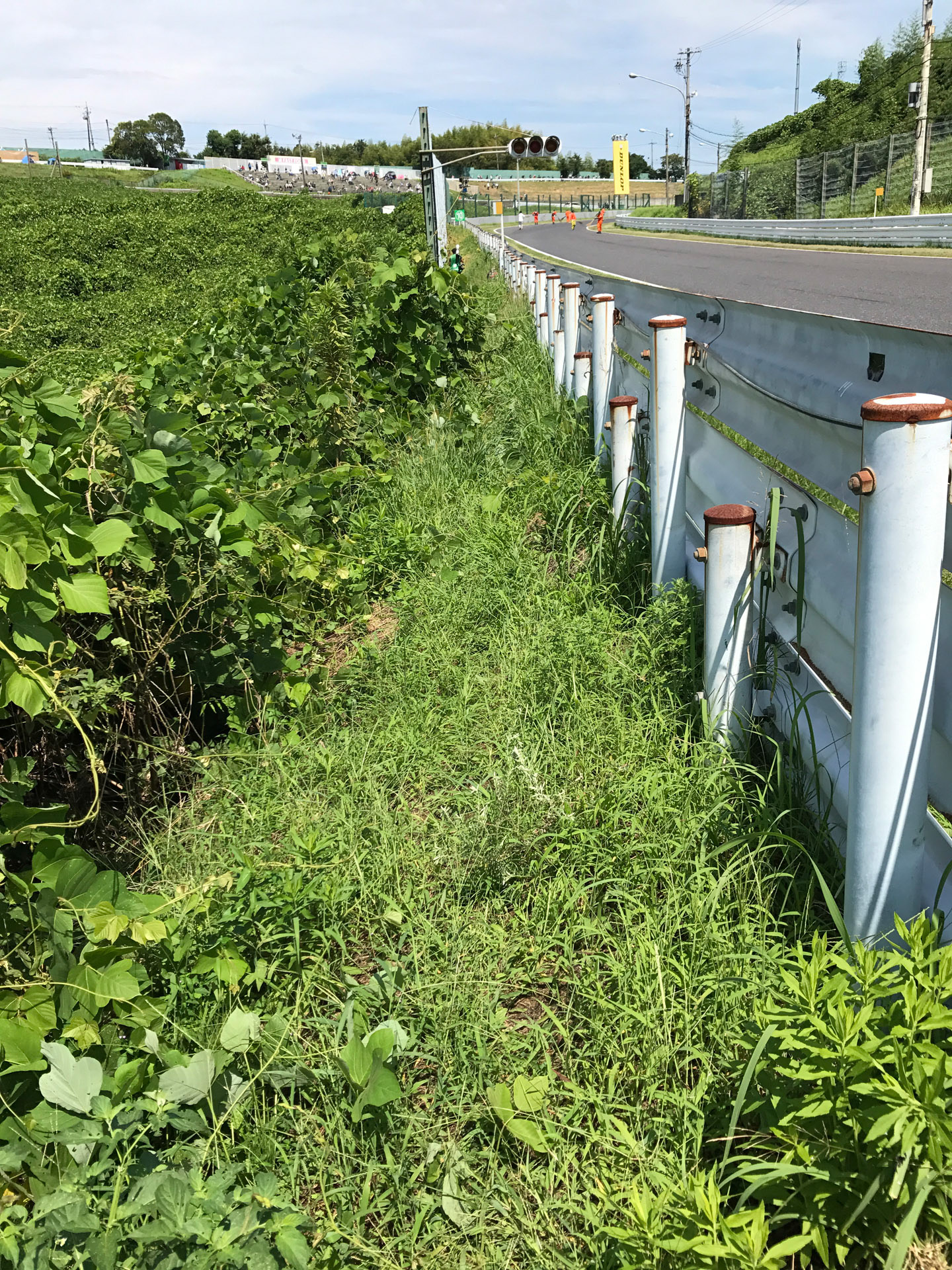 同じ場所を2017年に立体交差側から撮影。ガードレール根本部分から傾斜地で片手でガードレールをつかみながら滑落しないように移動していた（この写真をNASから探すのに2時間くらいかかった）