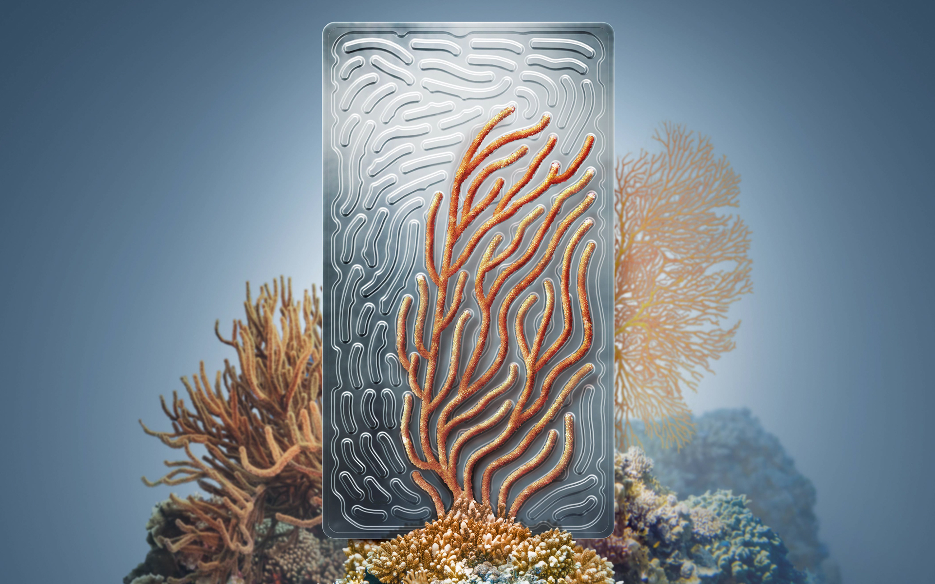 デザインはまるでサンゴの形状そのもの