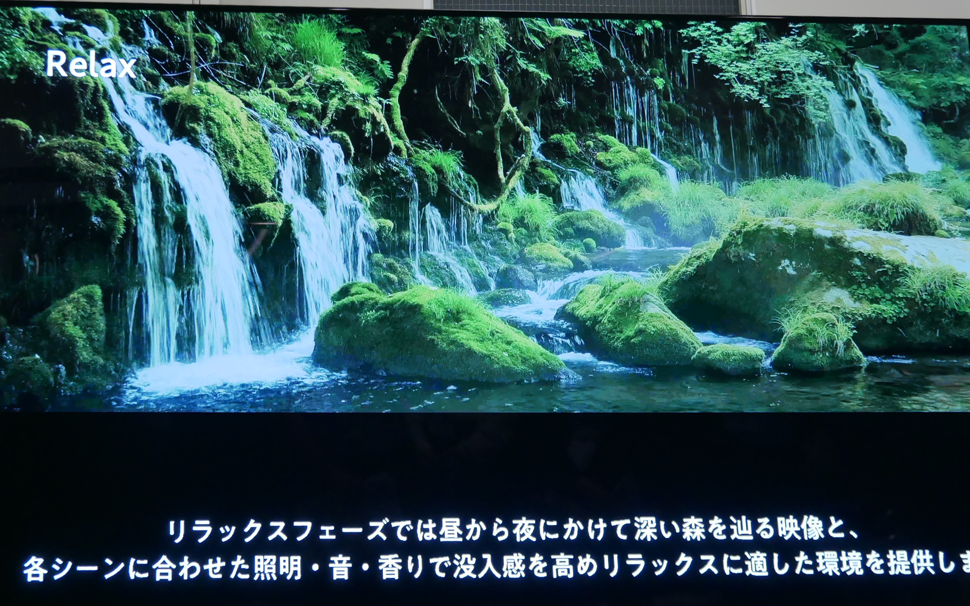 「リラックス」フェーズでは森を巡る映像が流れる