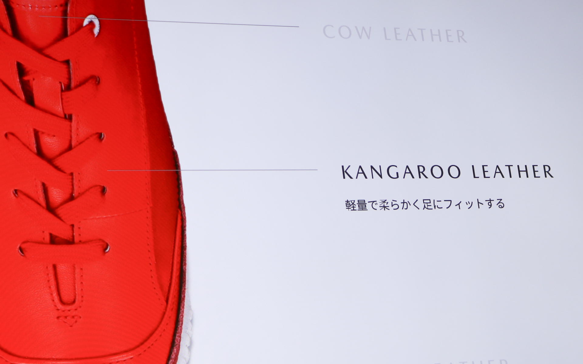メインはカンガルーレザーを採用