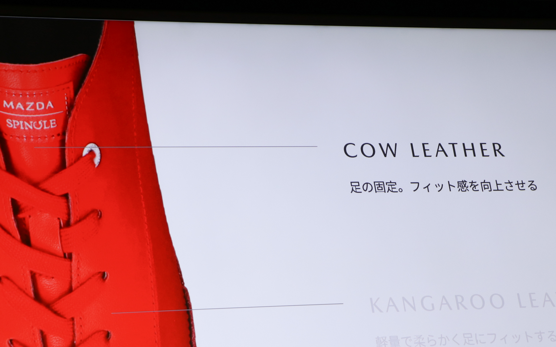 つま先とタンは牛革を採用。ソールゴムとメインの間には“トーン on トーン”配色のスウェードが入ることで立体感と深みが増している