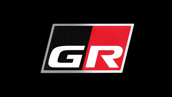 GRディスチャージテープ（小）は5500円