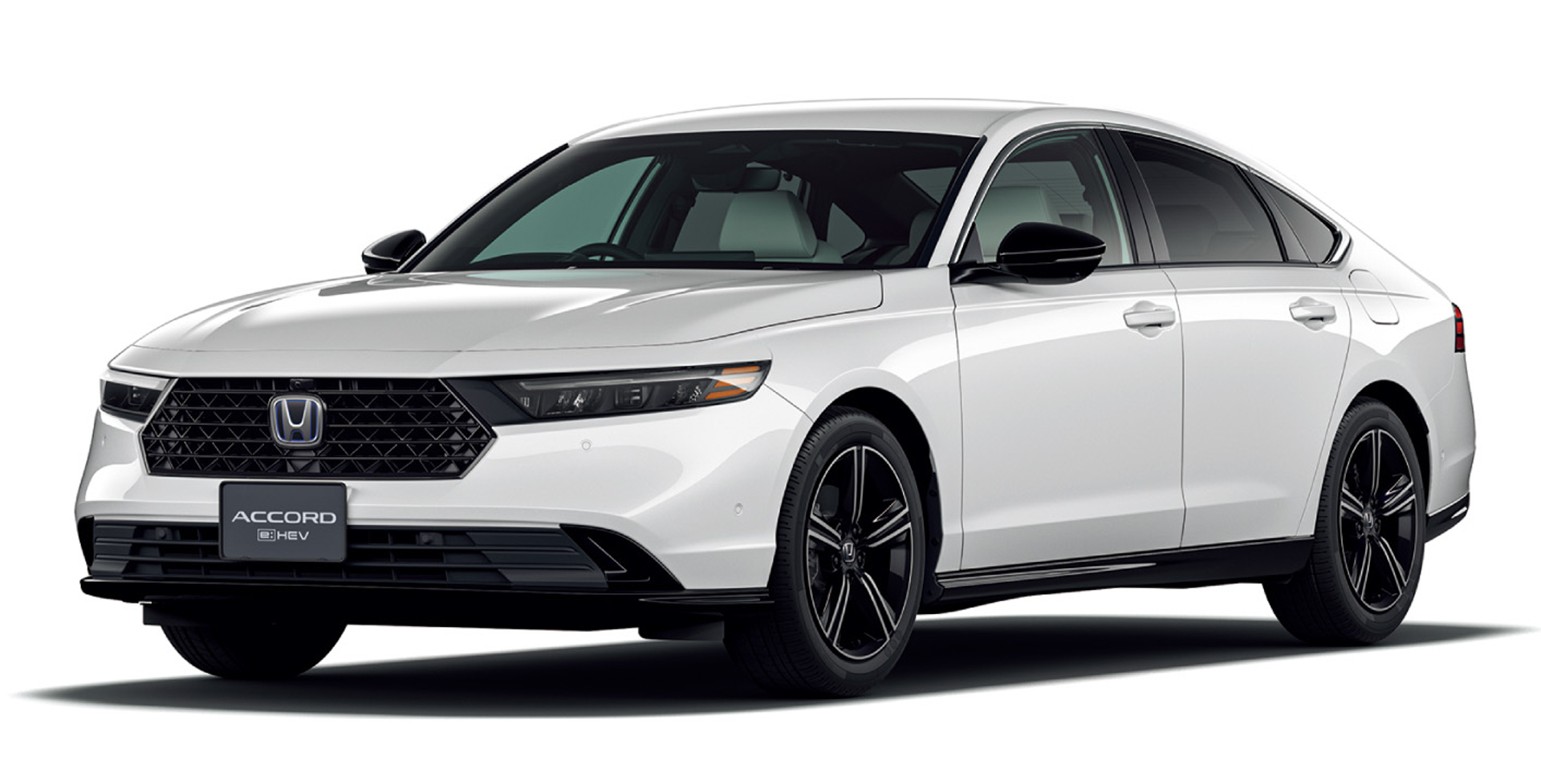 プラチナホワイト・パール