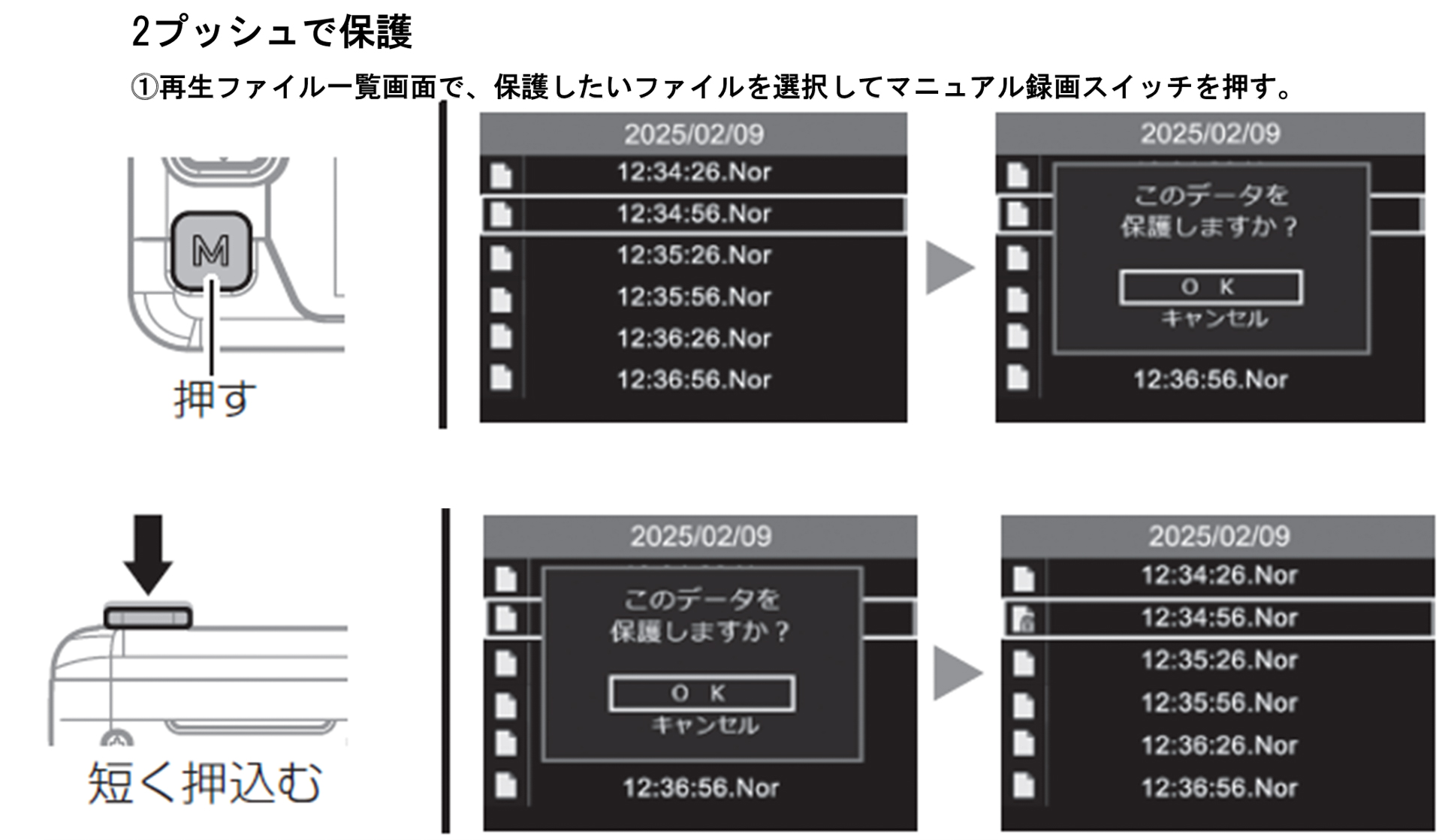任意で10ファイルまで保護できる