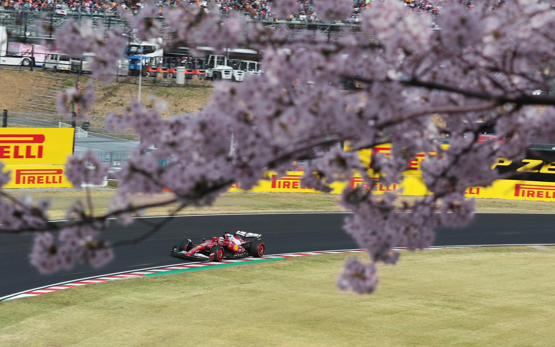 桜の間にマシンが写る絵。迷ったがこちらはボツとした