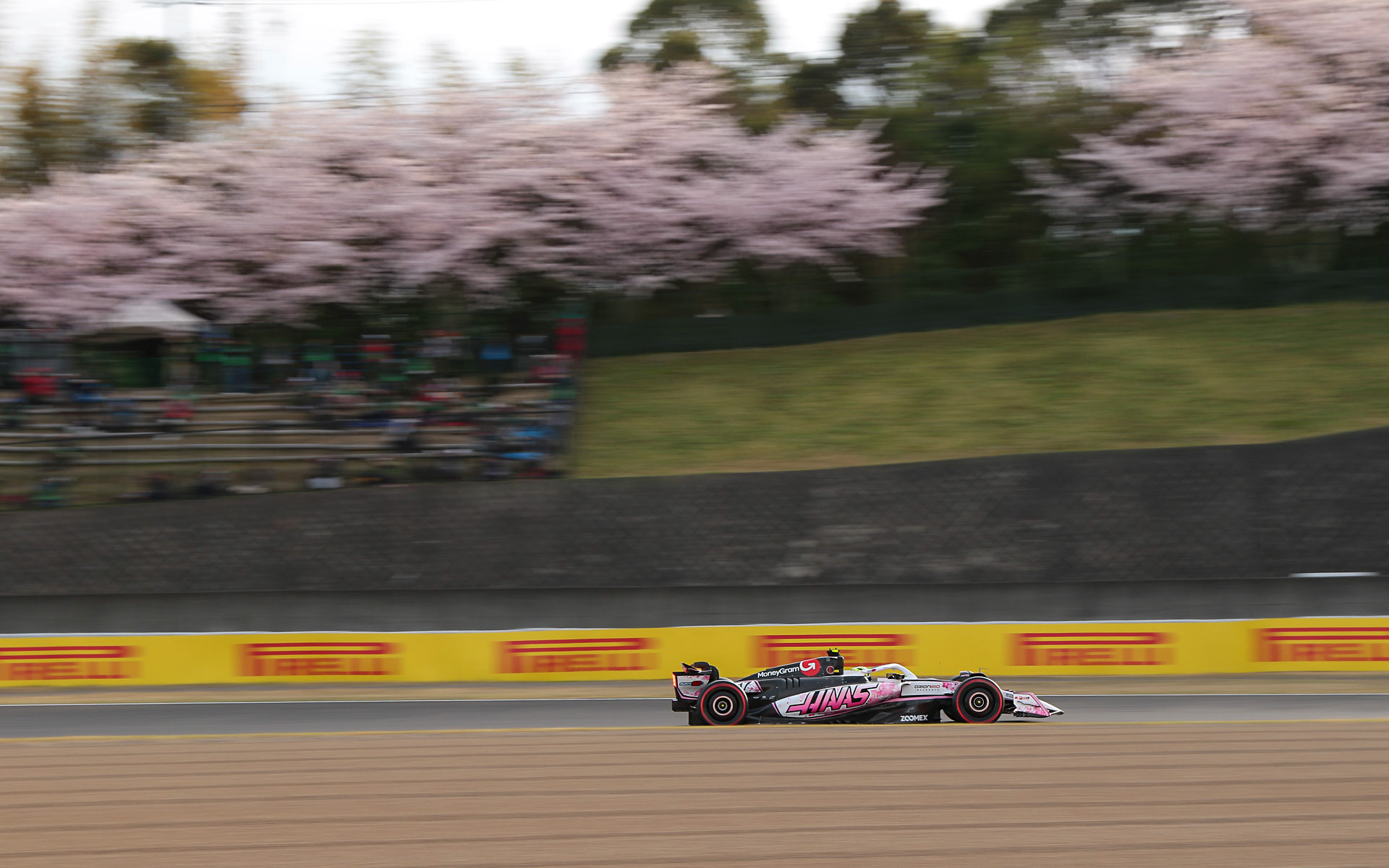 フォトギャラリー用の桜を入れた写真。焦点距離40mm、シャッター速度1/160秒で撮影