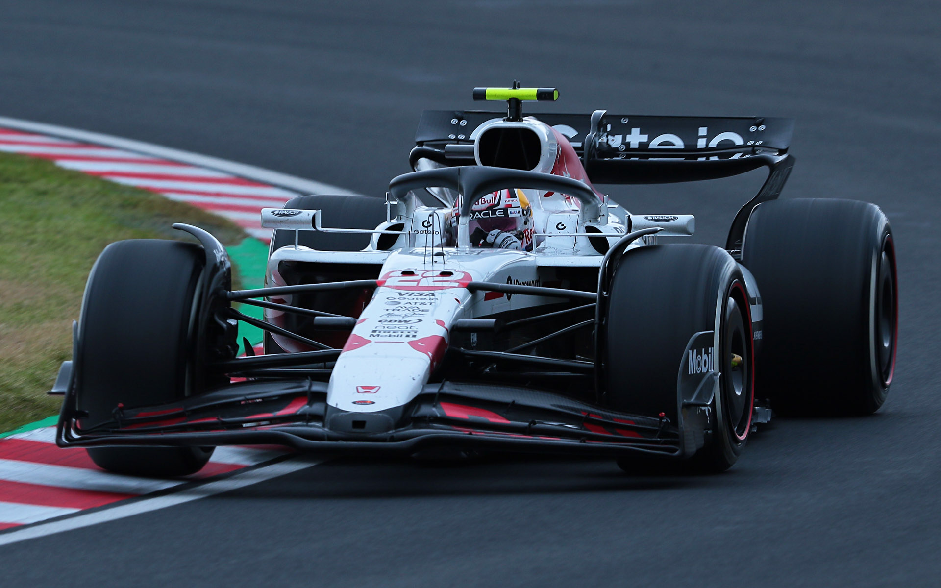 焦点距離300mm、シャッター速度1/400秒で撮影