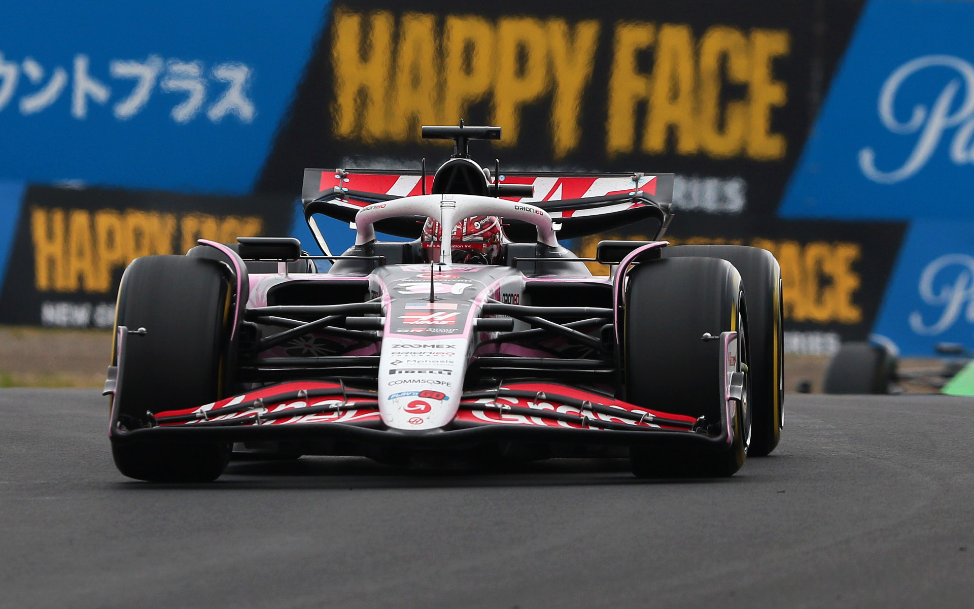 焦点距離300mm、シャッター速度1/500秒で撮影