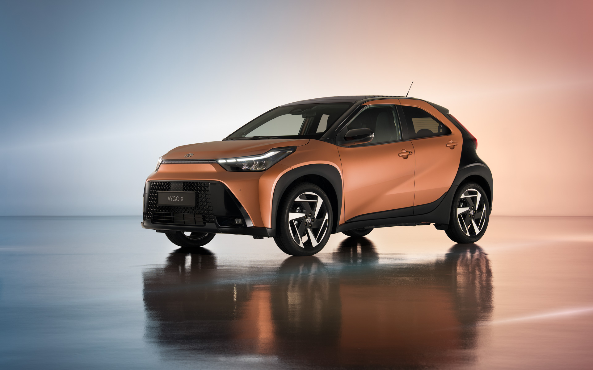 アイゴXハイブリッド