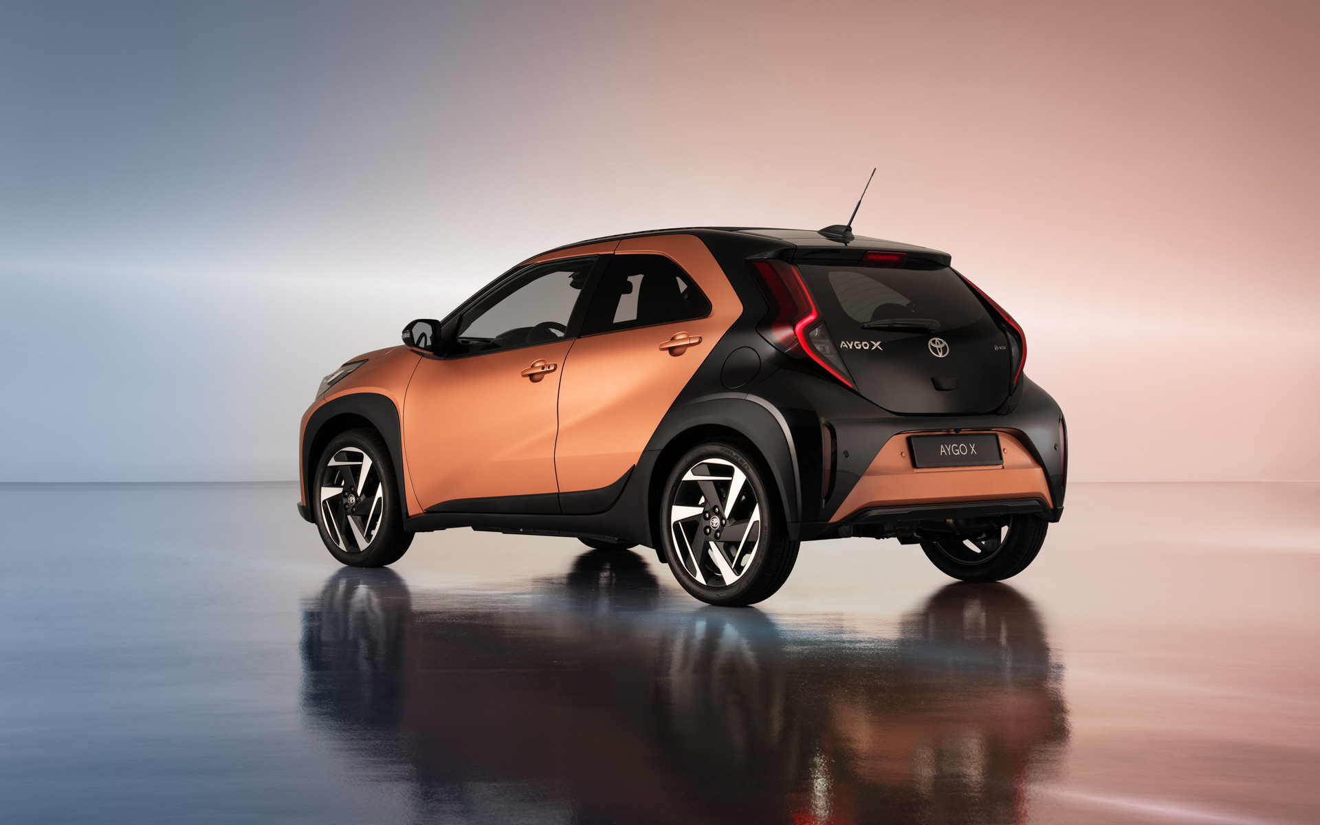 アイゴXハイブリッド