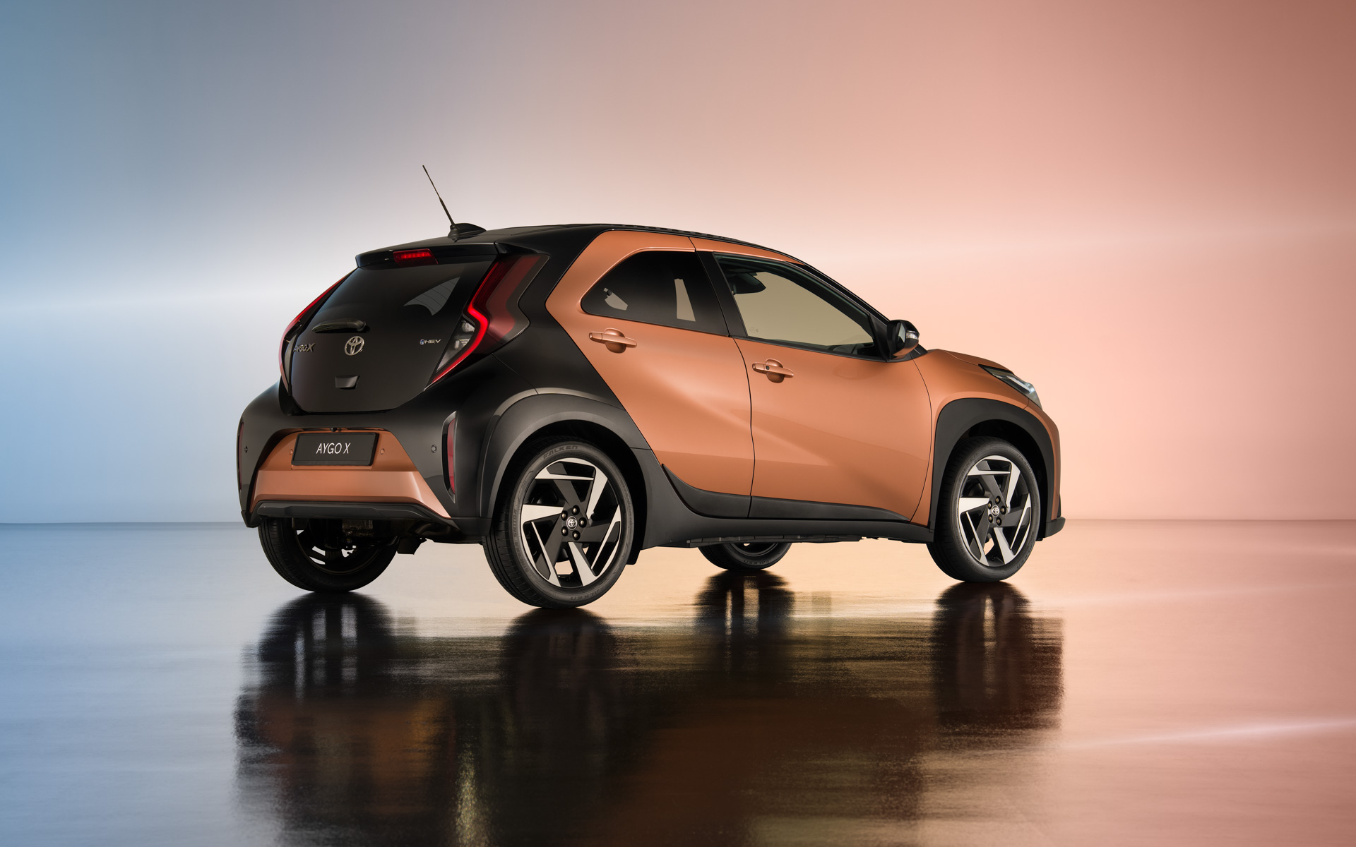 アイゴXハイブリッド