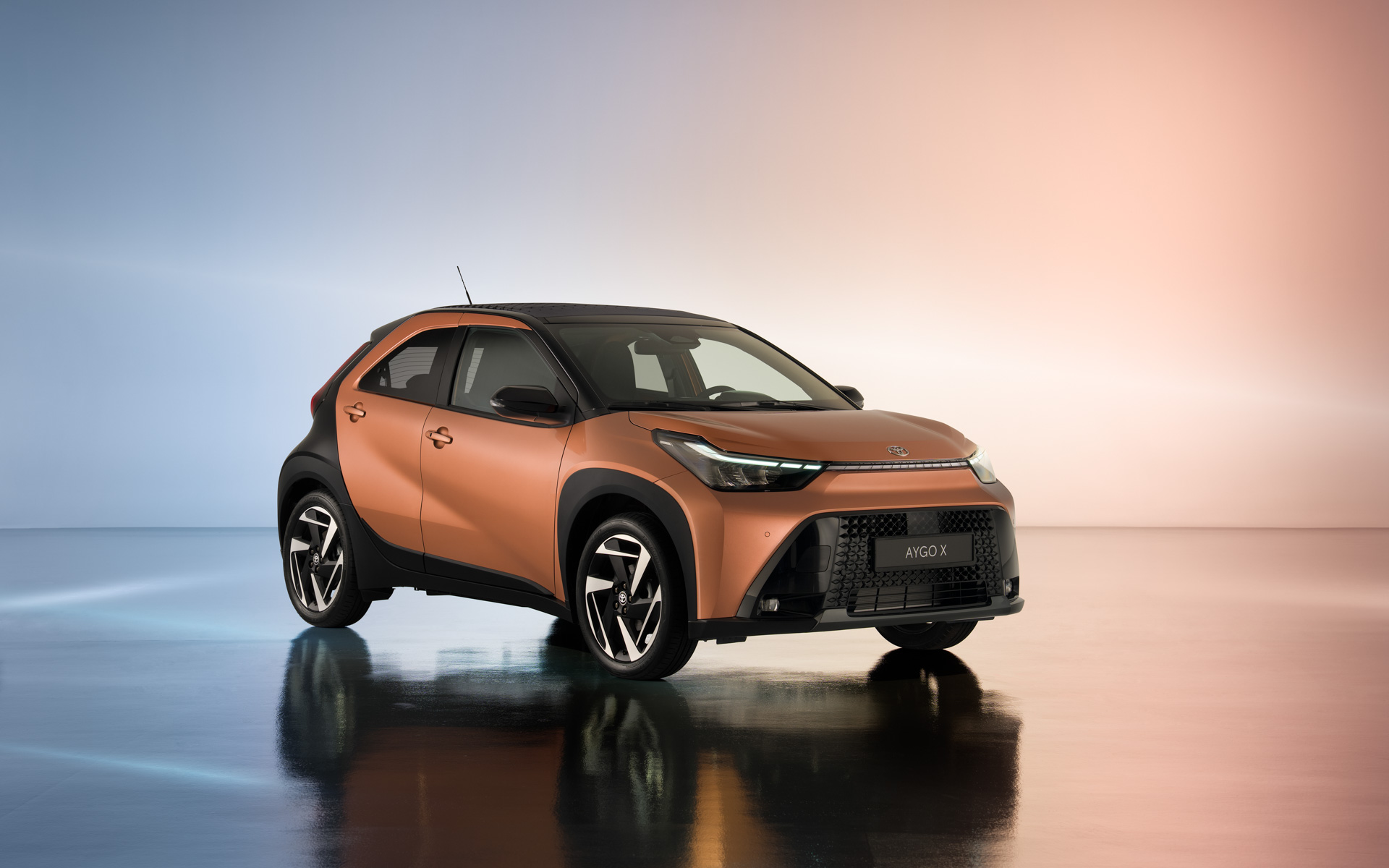 アイゴXハイブリッド