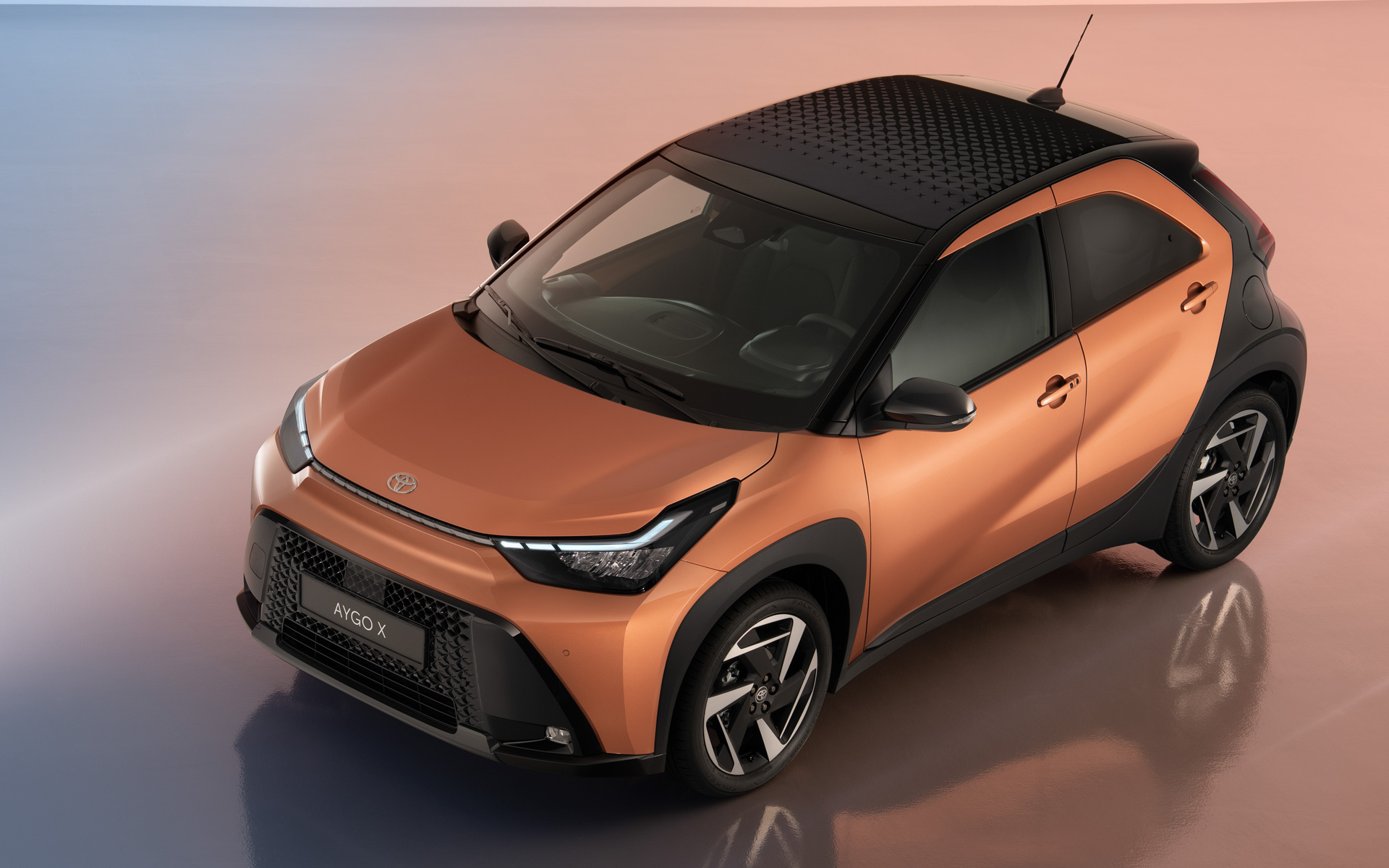 アイゴXハイブリッド