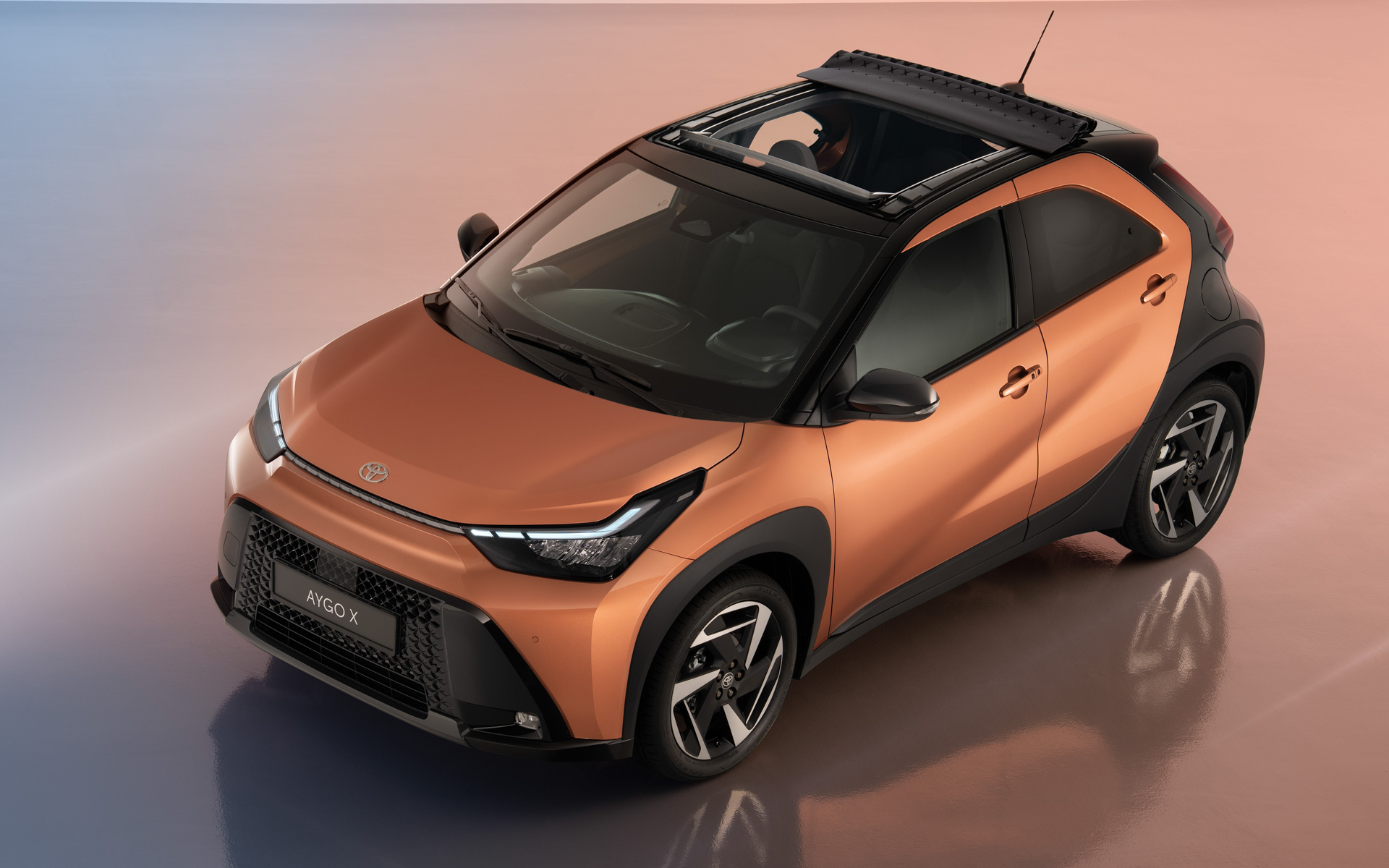 アイゴXハイブリッド