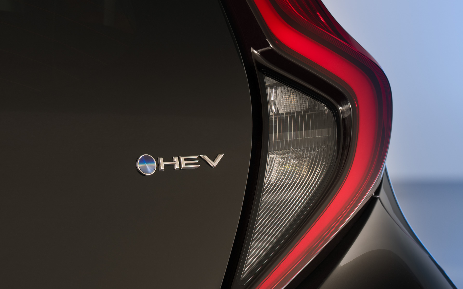 アイゴXハイブリッド