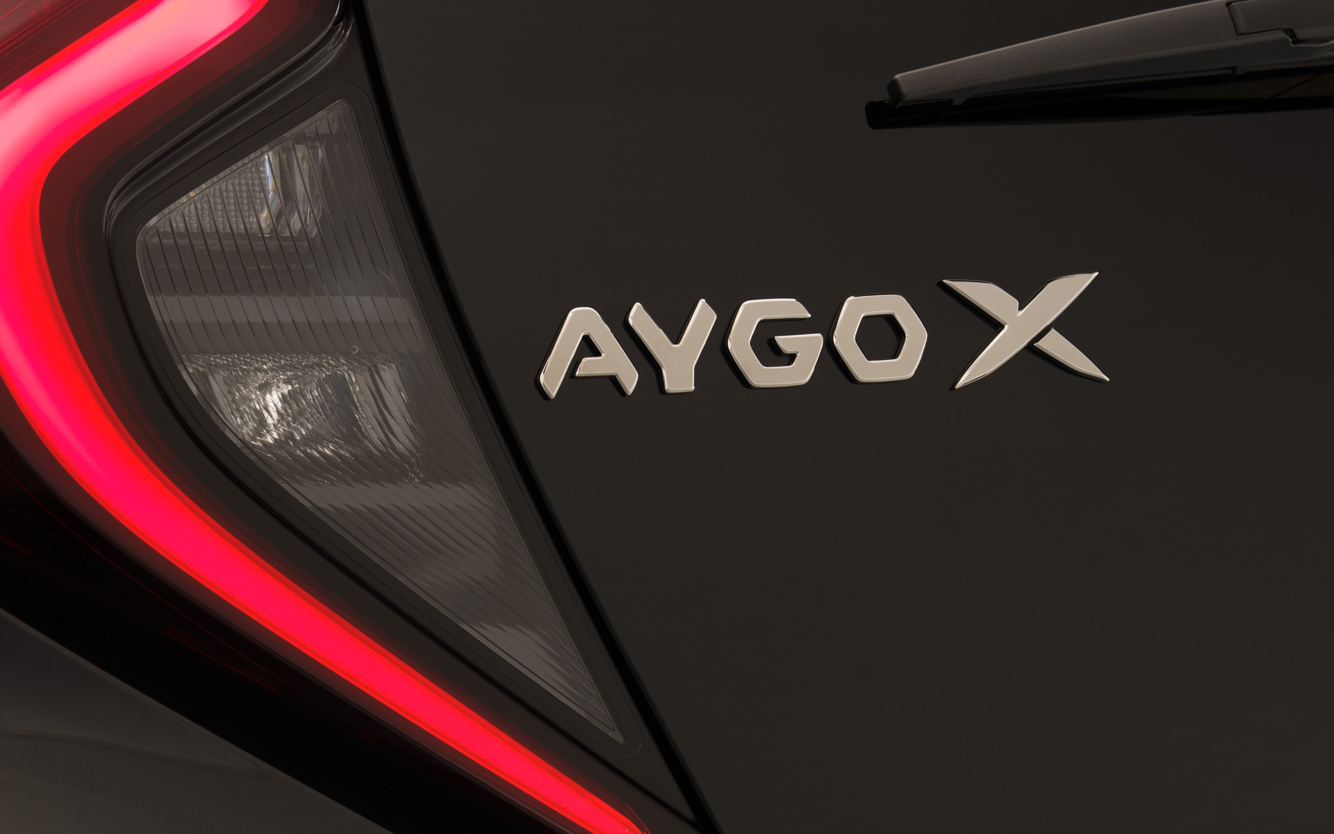 アイゴXハイブリッド